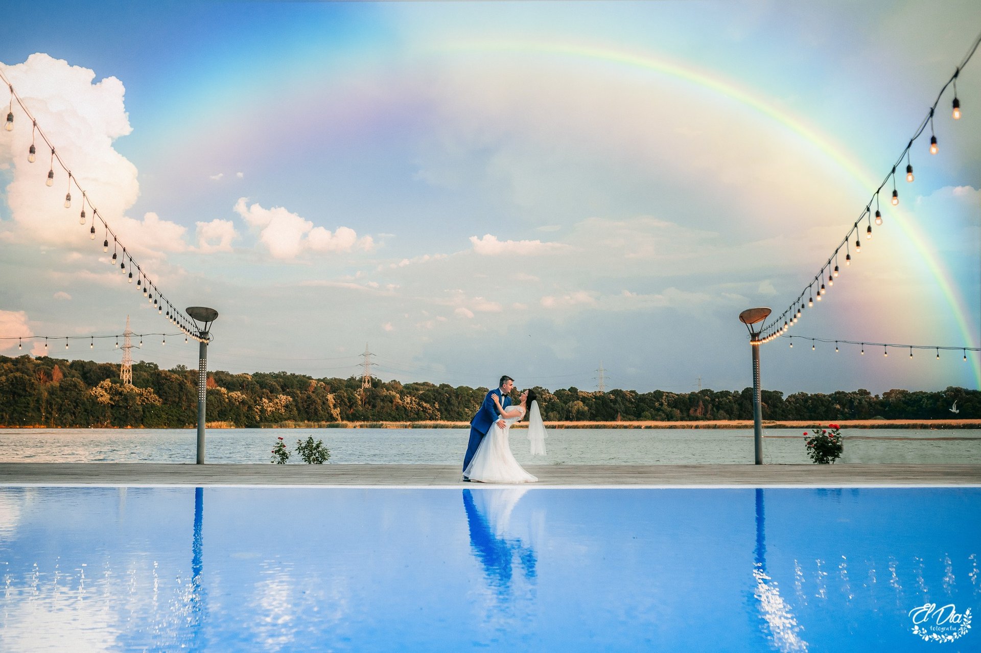 foto nunta curcubeu phoenix cernica