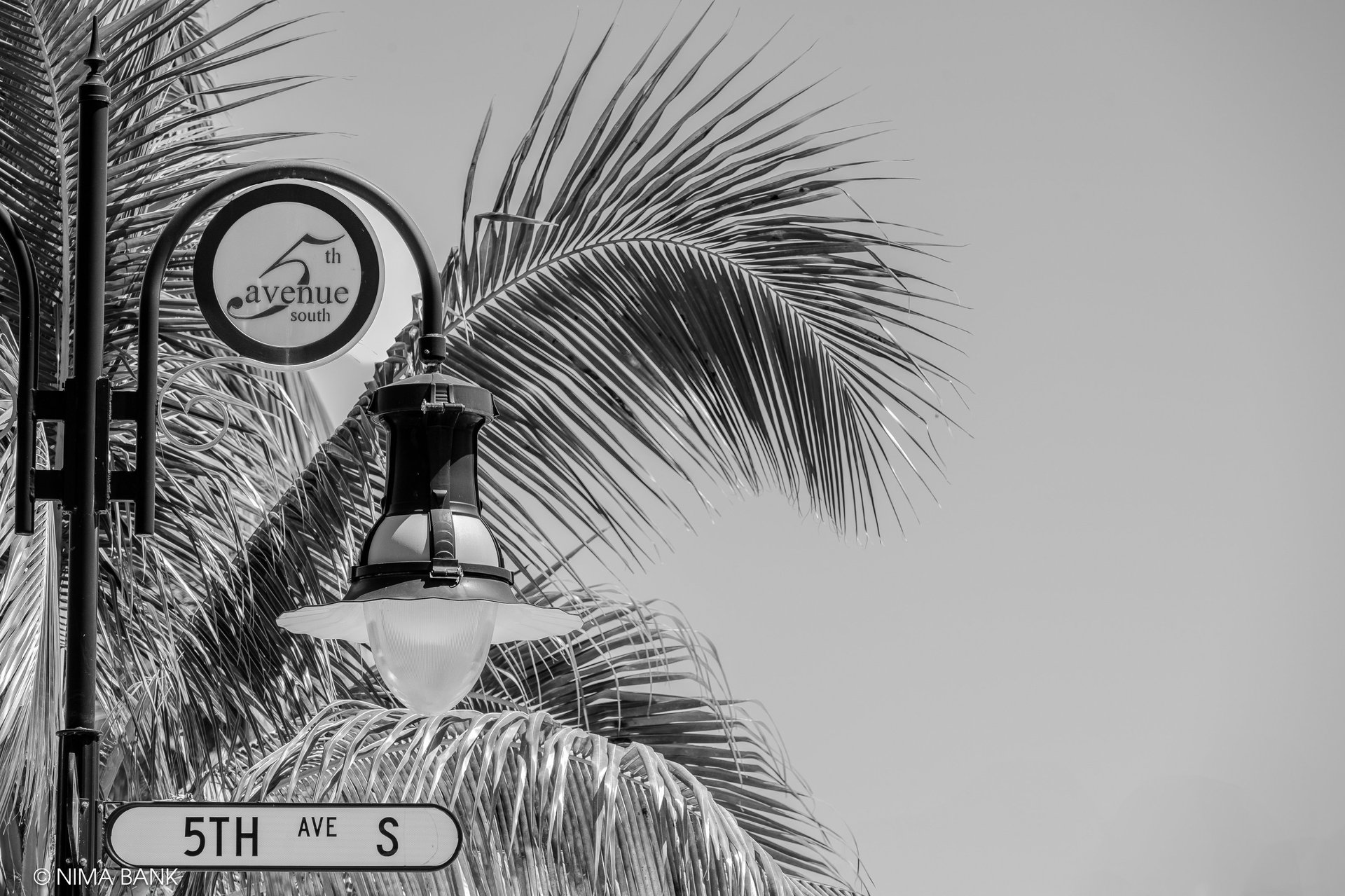 a light pole and street sign saying 5th eve s, in downtown naples florida