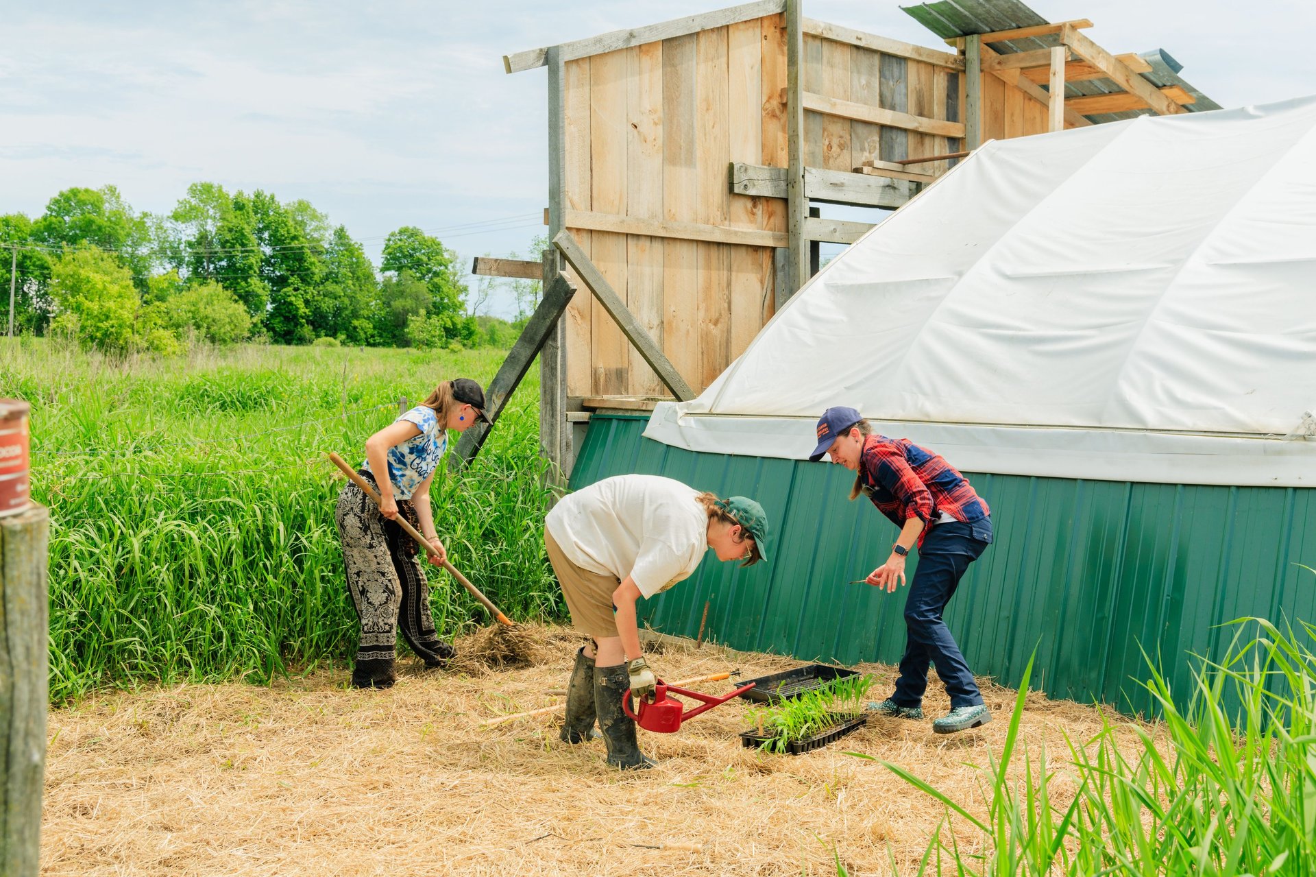 three people are working on a farm