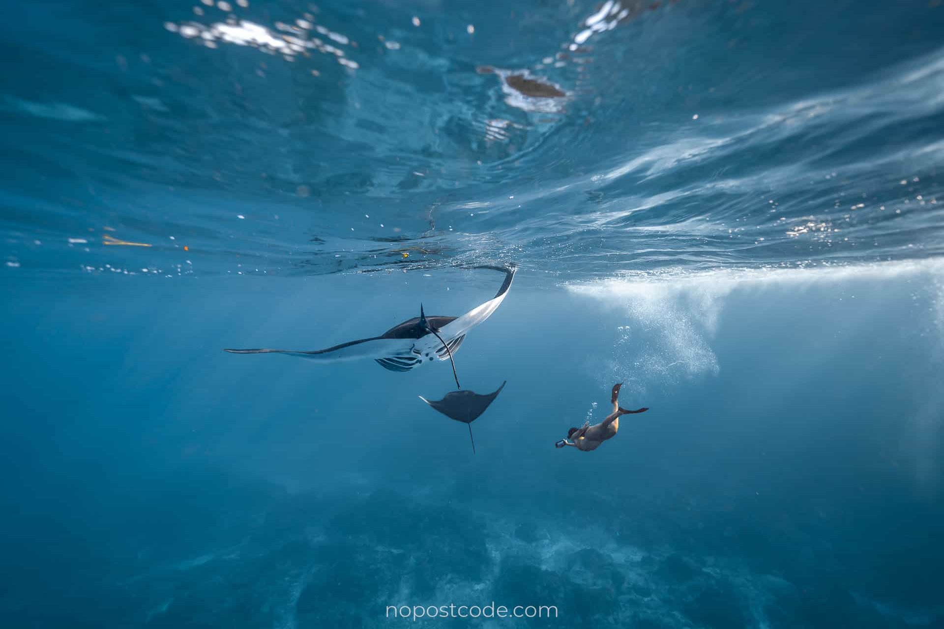 Snorkeling