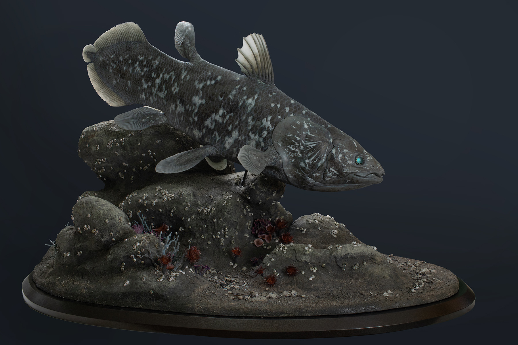 Zoological reconstruction of Latimeria fish ade of epoxy resin, true-to -nature