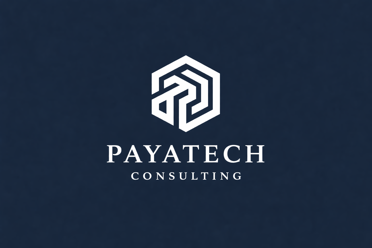 Payatech Consulting Sanaz Ahmadi