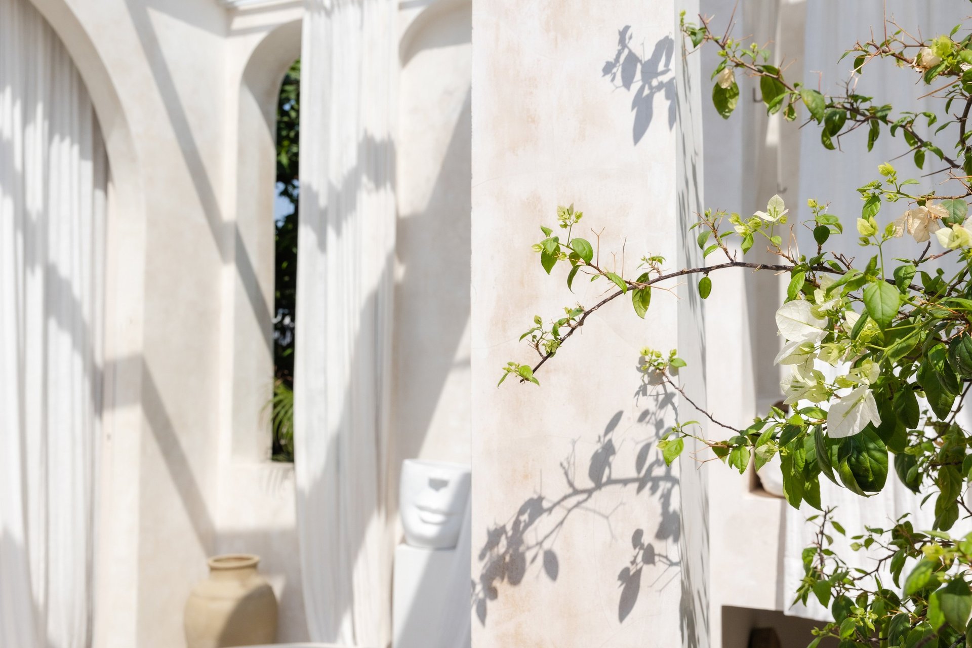 Terrace & Garden