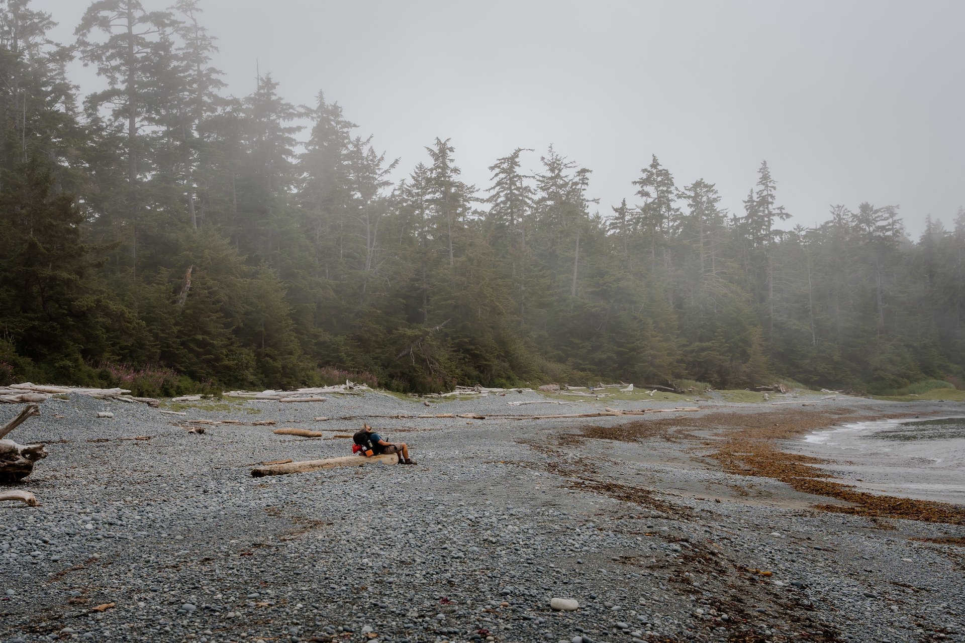 a person sitting on a log in the middle of a beach