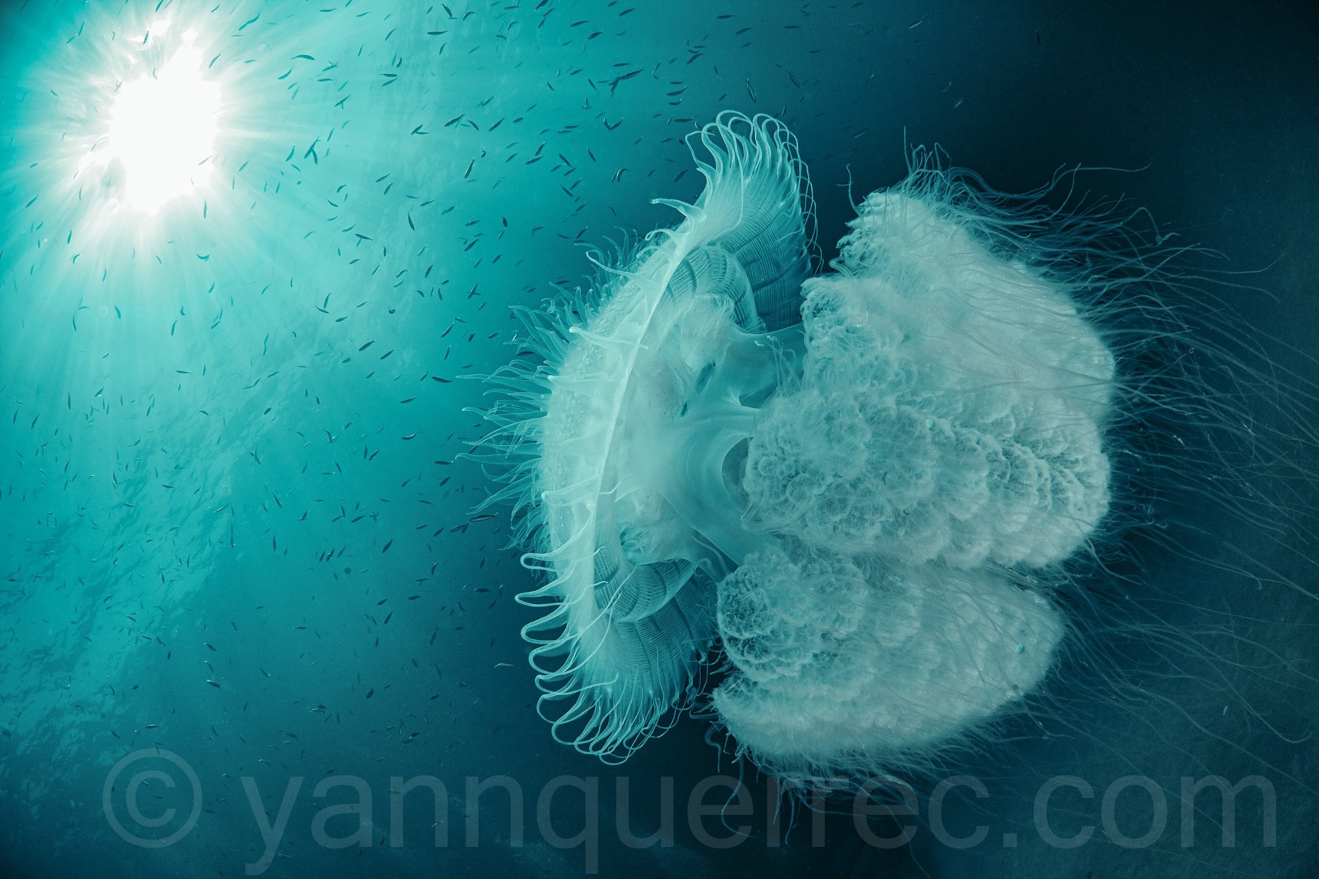 Kho lanta - THAÏLANDE