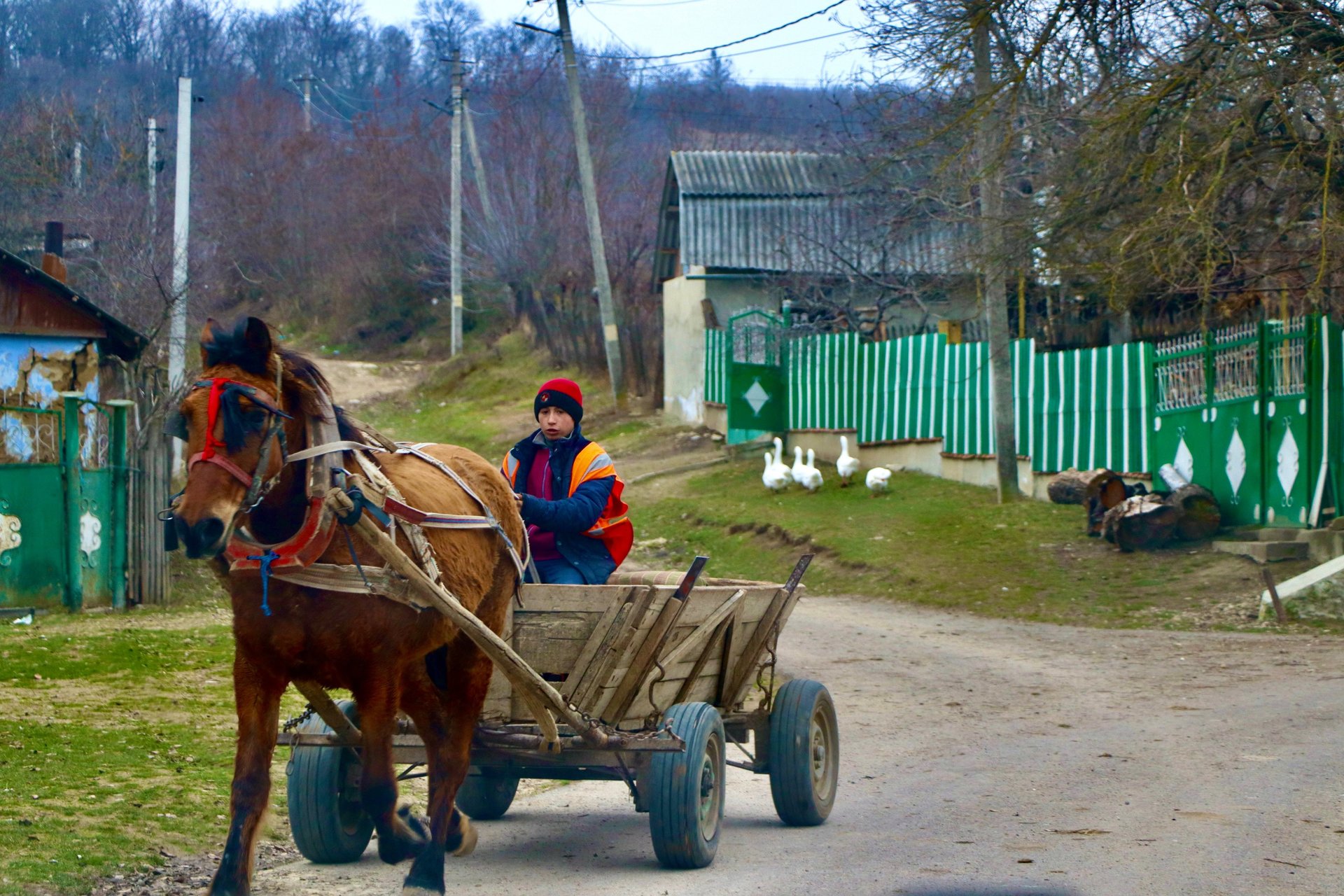 Moldawien Kutsche Kind