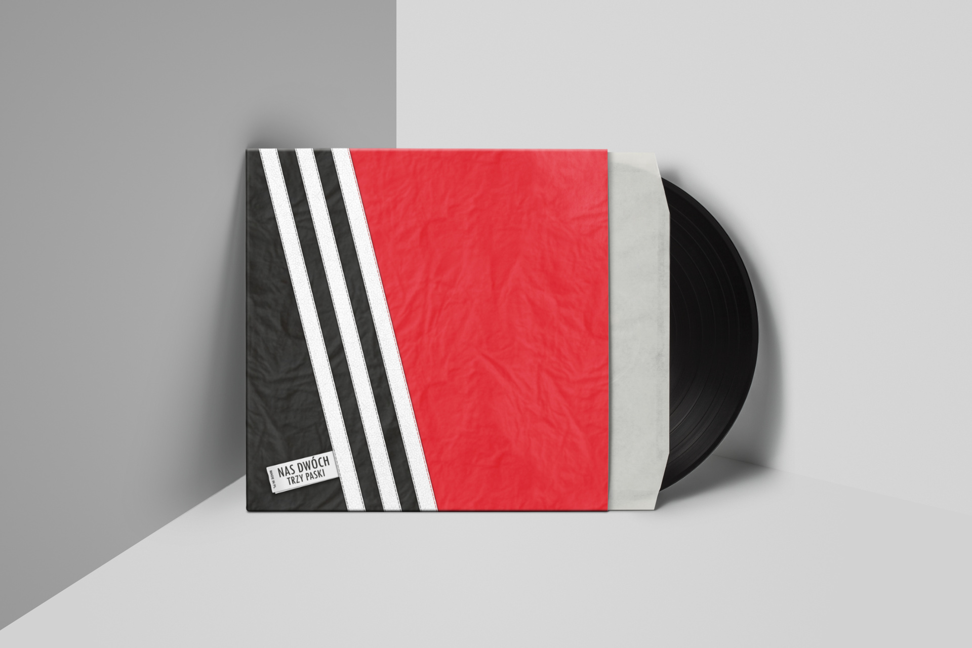 Vinyl album in a sleeve