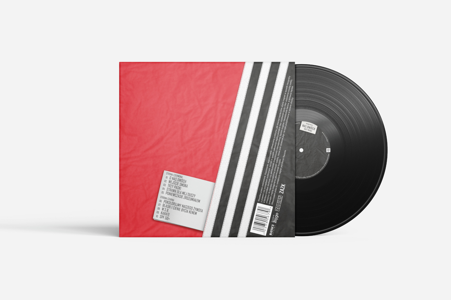 Vinyl album in a sleeve back cover