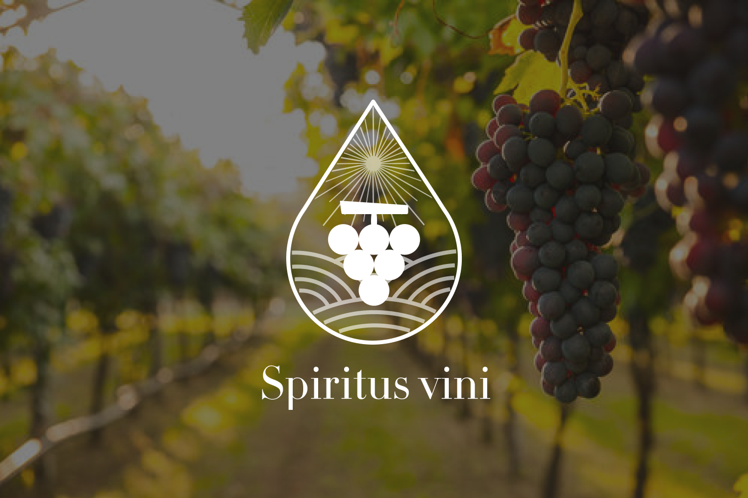 Branding spiritus Vini marque vin sans alcool