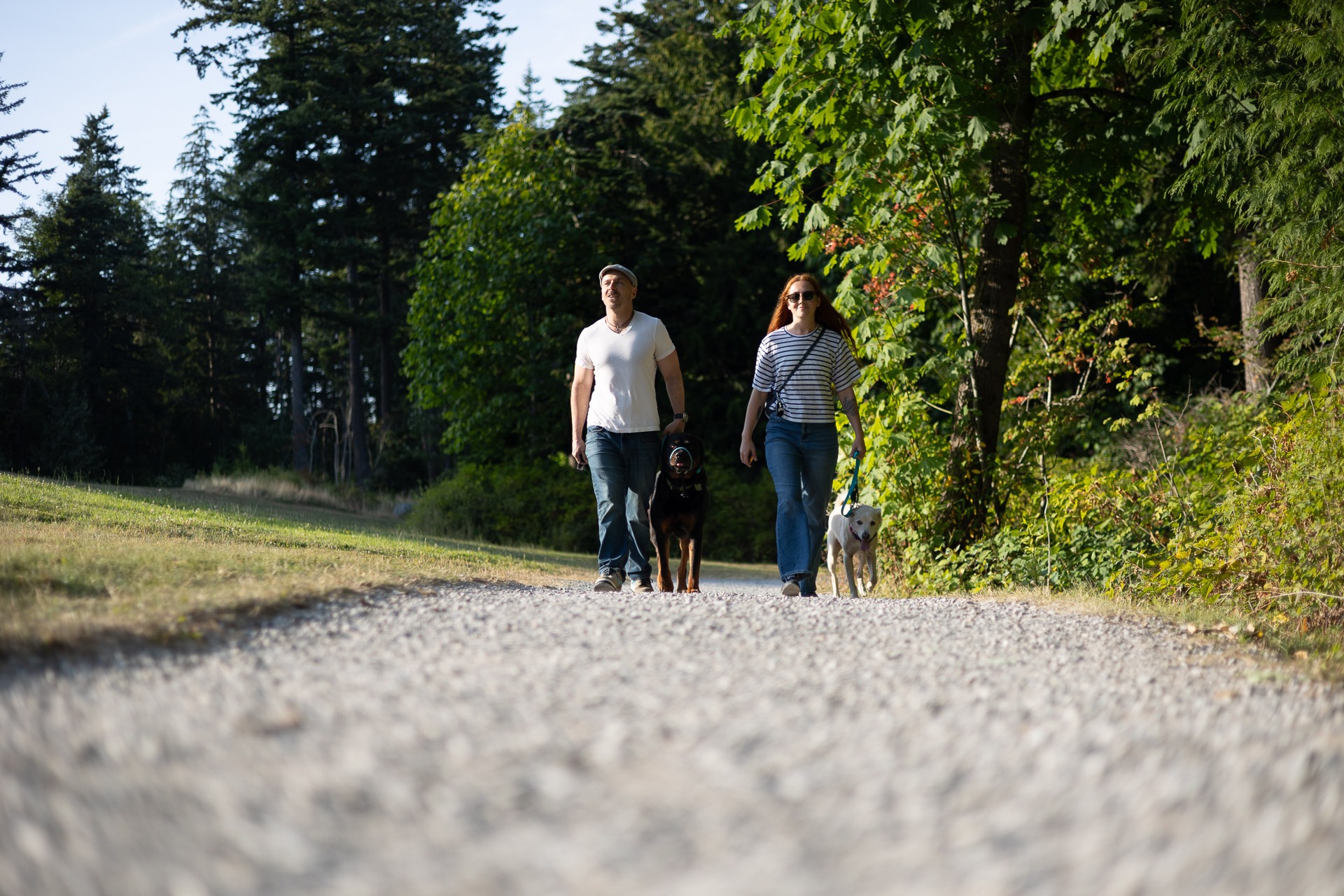 Meet the dog training team