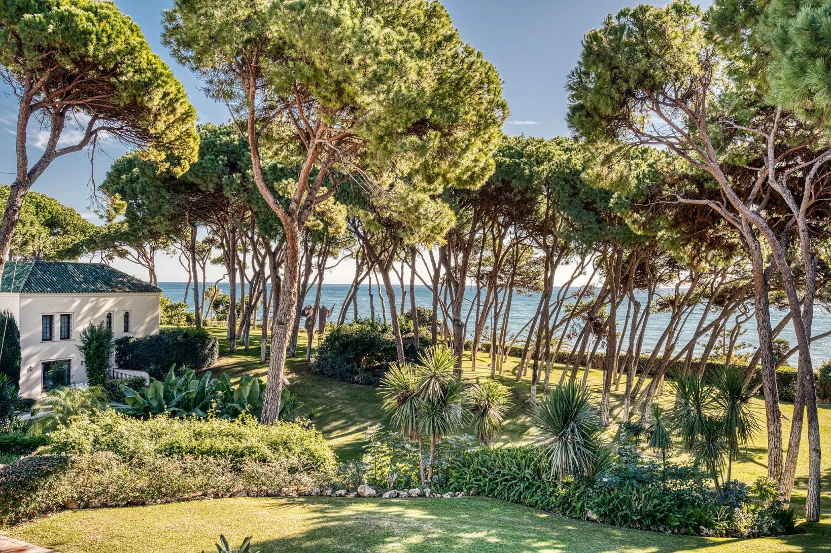 Private beachfront estate with manicured gardens and pine grove