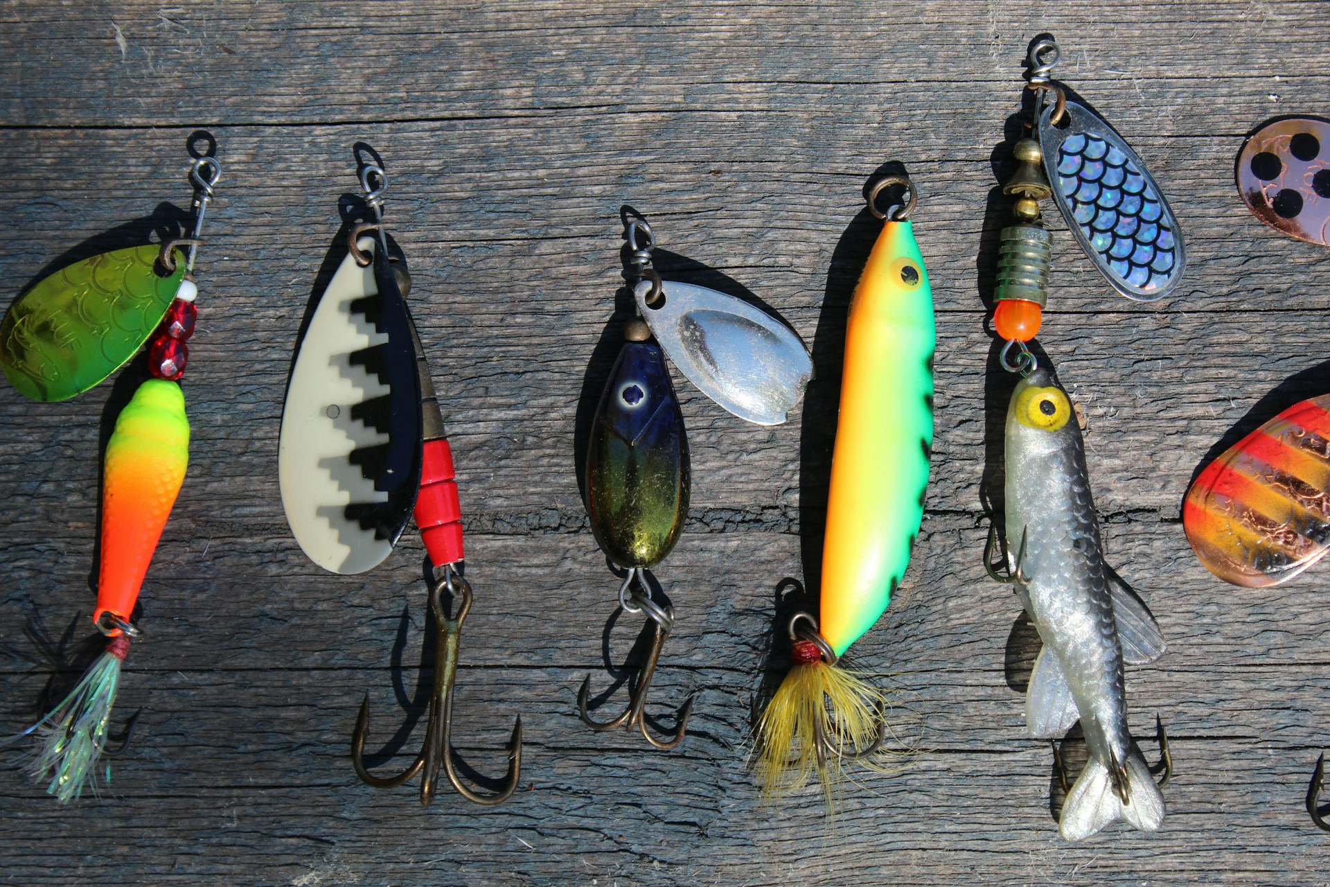 Beginner’s Guide to Fishing: Essential Gear, Best Spots, and Proven Techniques for a Successful Catc