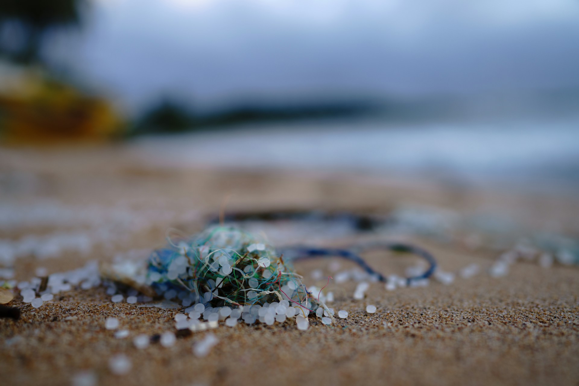 Invisible Invaders: How Microplastics Are Silently Poisoning Our Food Chain