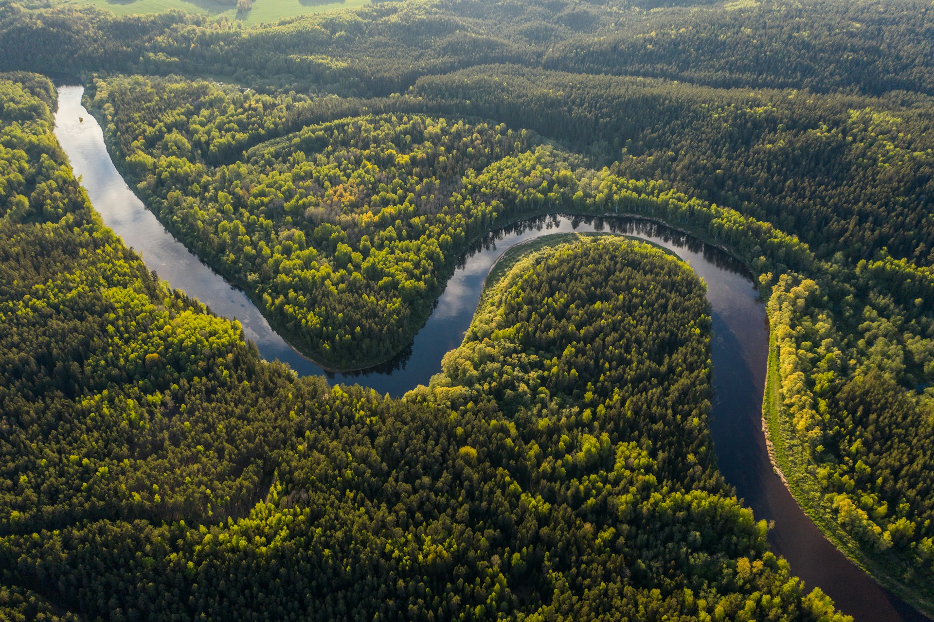 The Amazon Rainforest: Nature’s Beating Heart in Peril — Why Its Survival Determines Our Planet’s Fu
