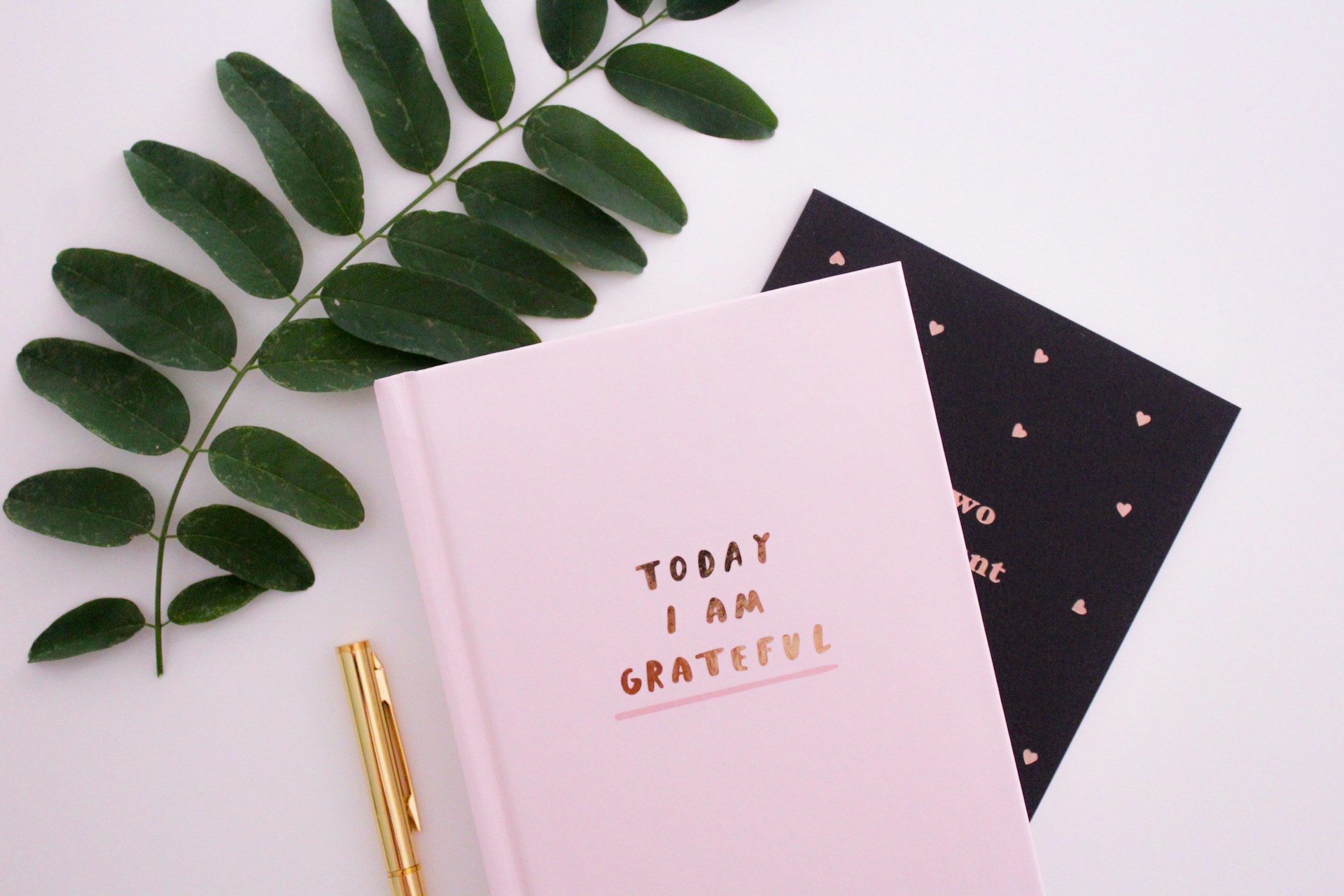 The Power of Gratitude: How Thankfulness Builds Emotional Resilience and Inner Strength