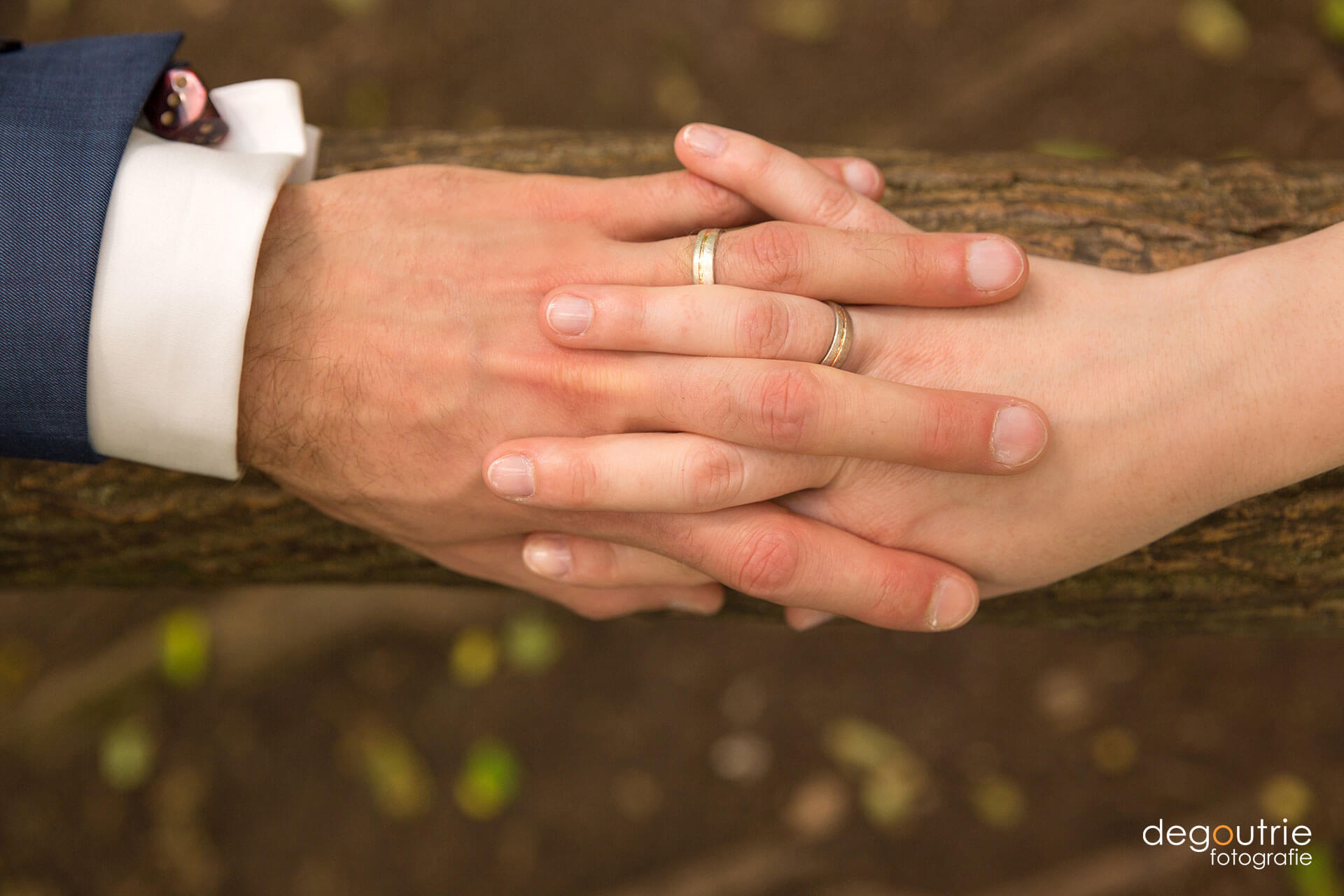 Hochzeitsfotos im Park. Hand mit Ringen.
