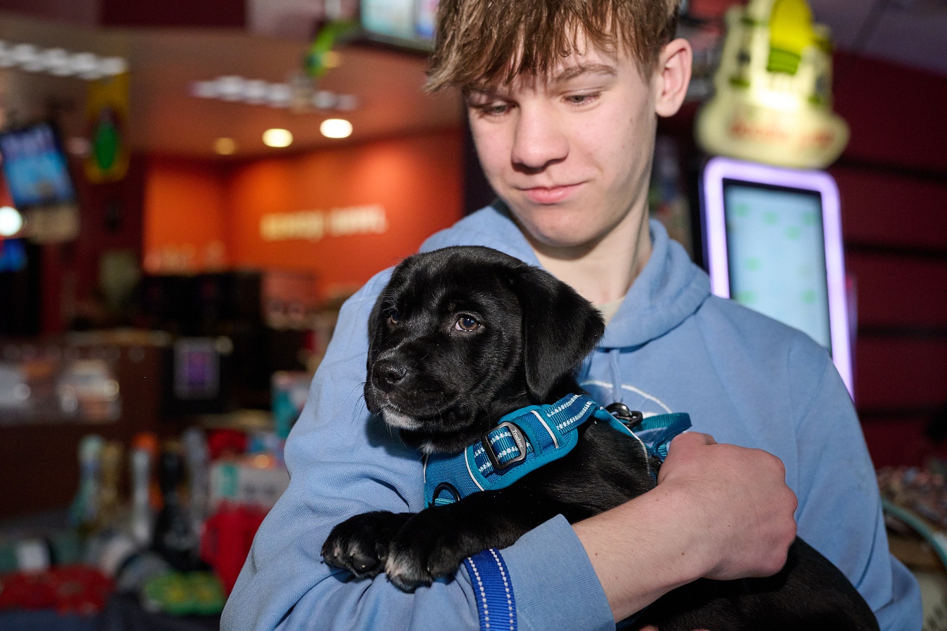 a teenage boy in a blue jacket holding a black puppy