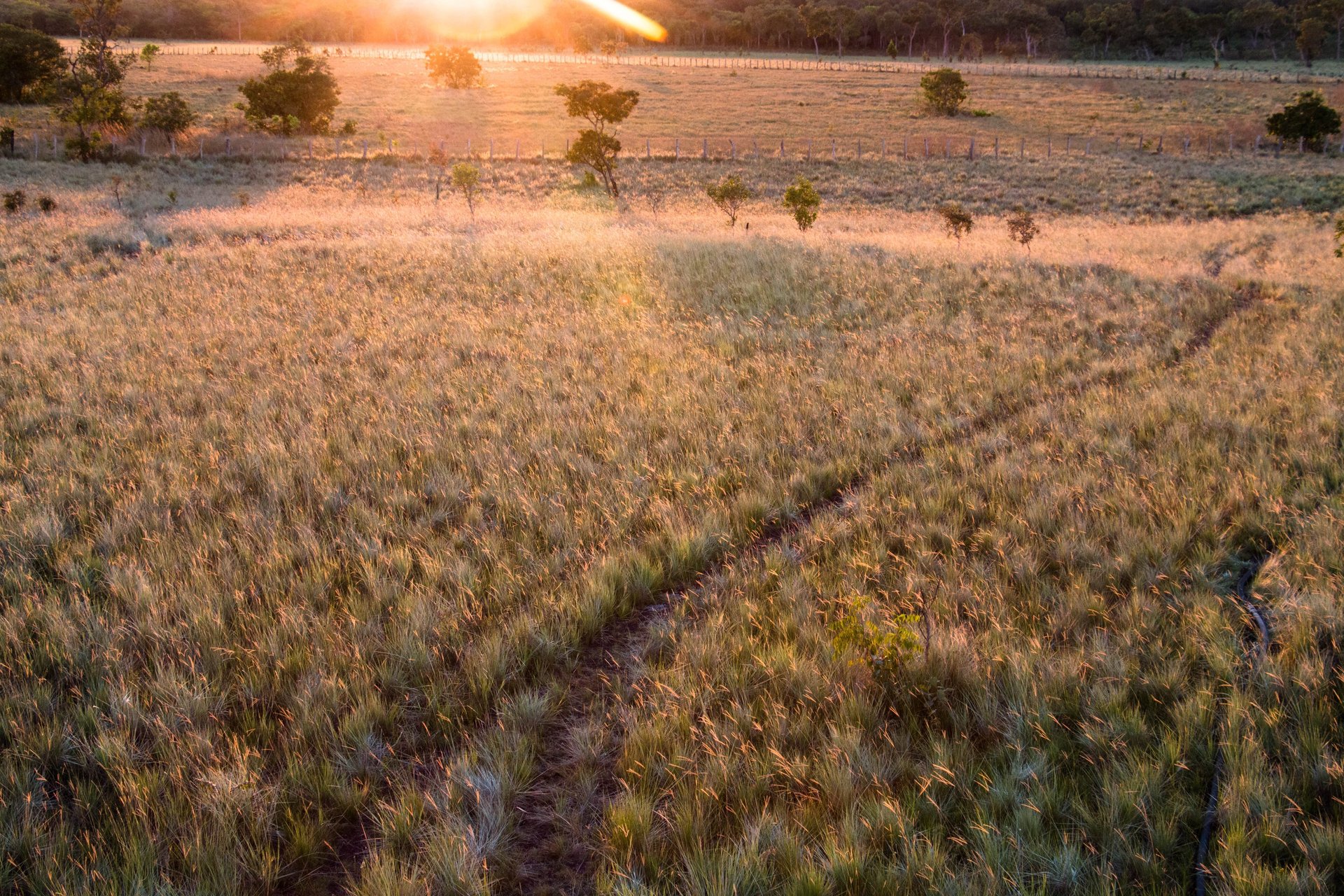Land for reforestation in Colombia, Terra Forest