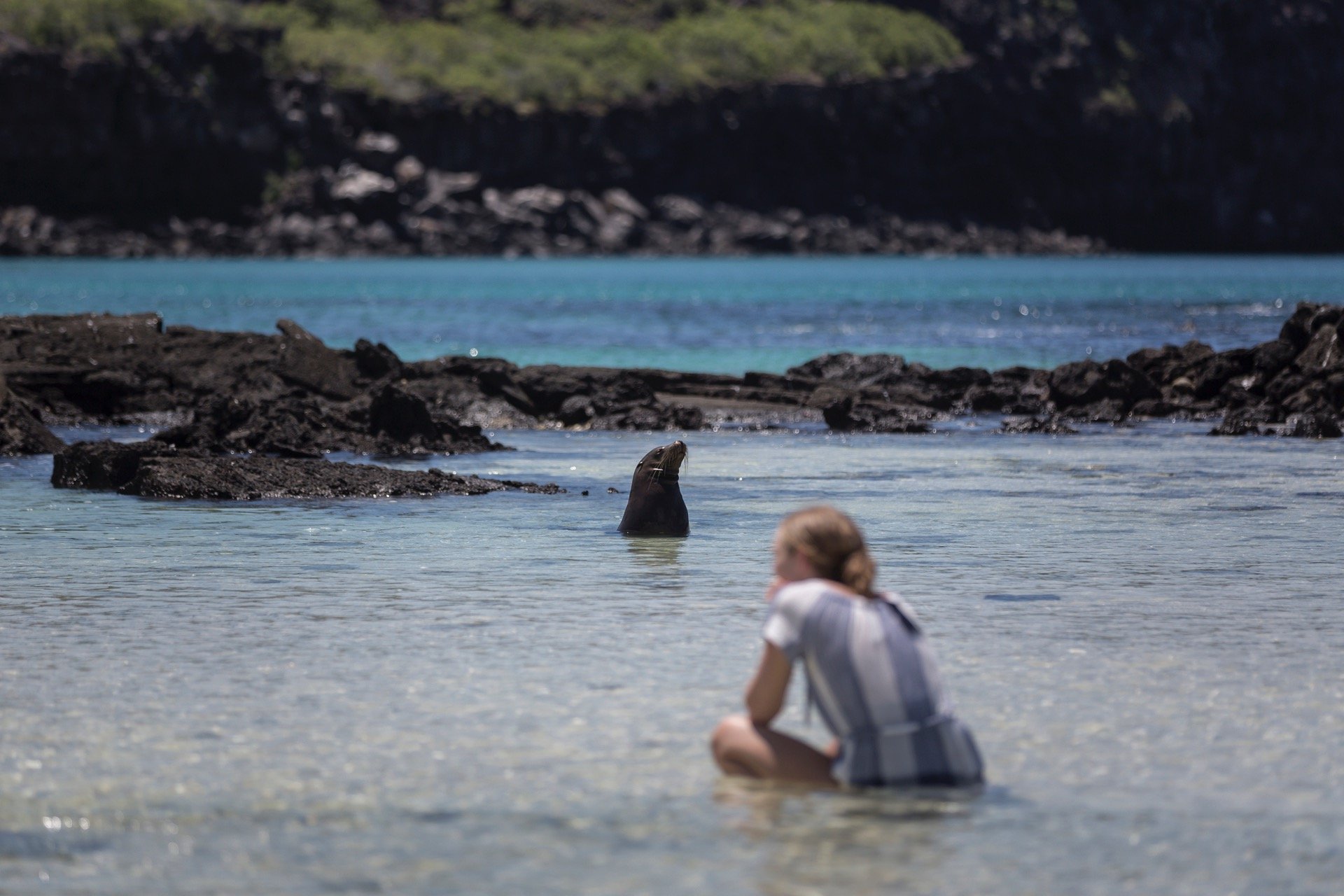 Remote protected beach experience in the Galápagos Islands