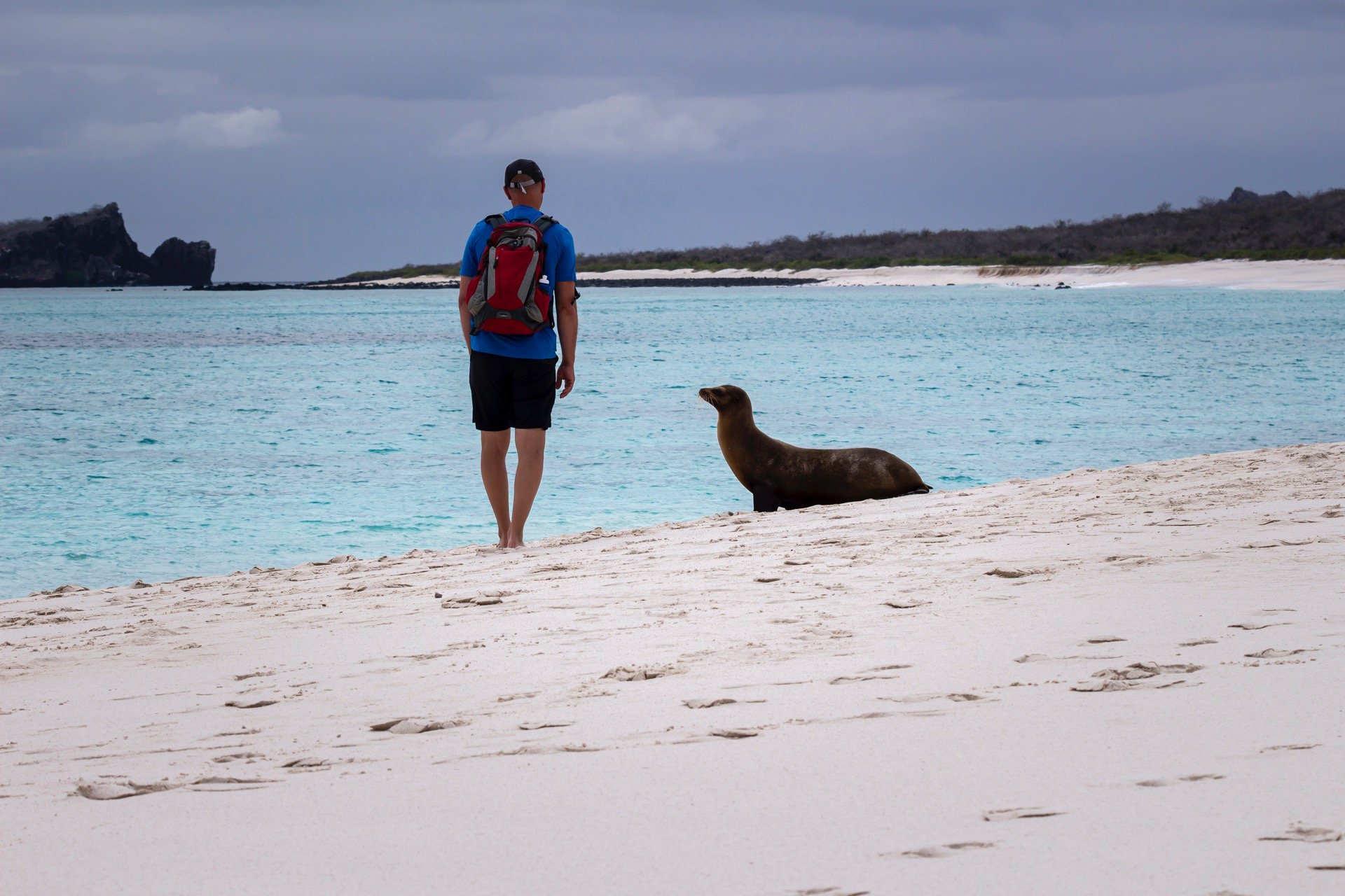 Luxury traveler watching sea lions on a beach in the Galápagos Islands
