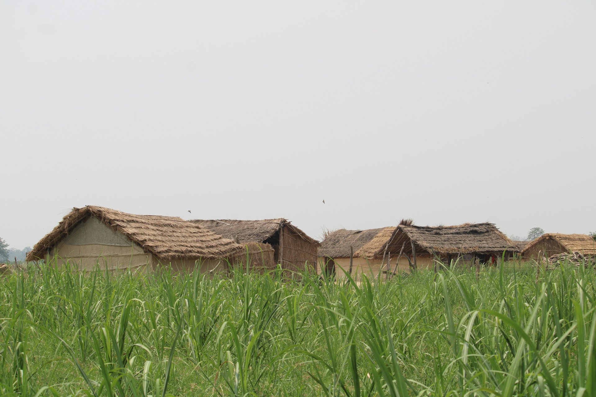 village near mohana river