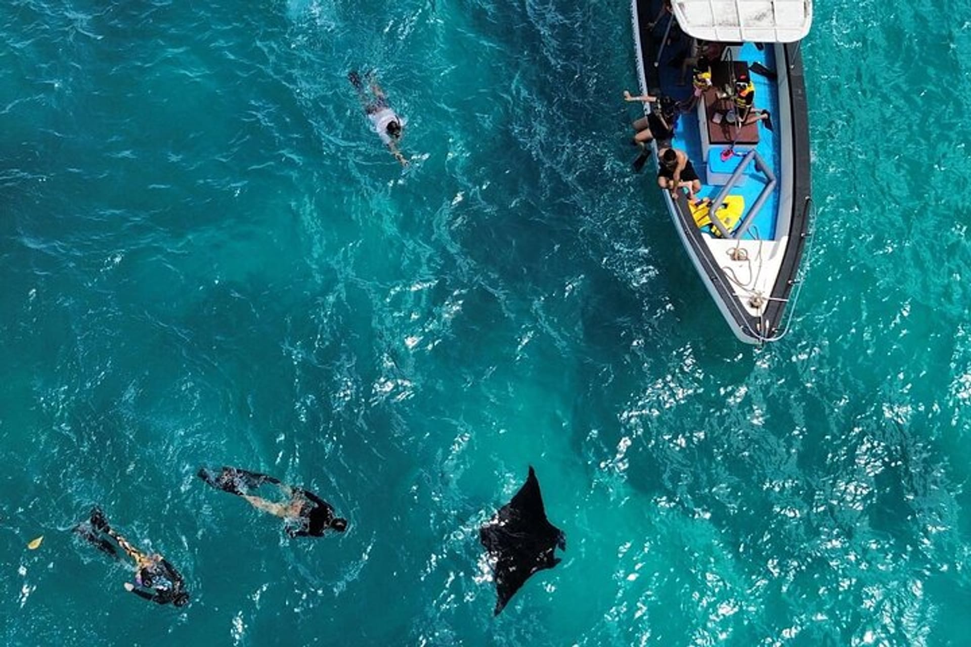 Snorkeling Nusa Penida