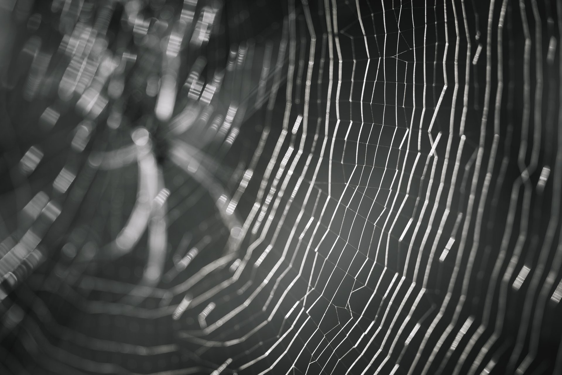 Quadro Fine Art minimalista em preto e branco com fotografia abstrata e poética de teia de aranha.