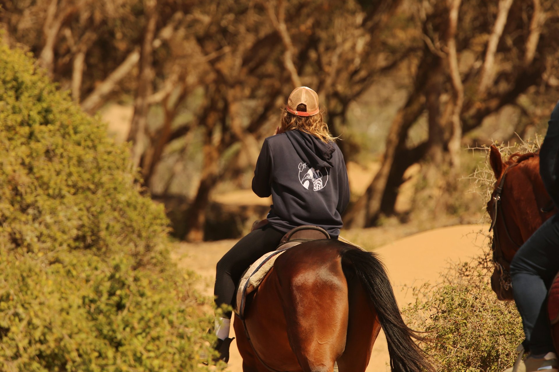 une femme guide montant un cheval dans des dunes et la forêt