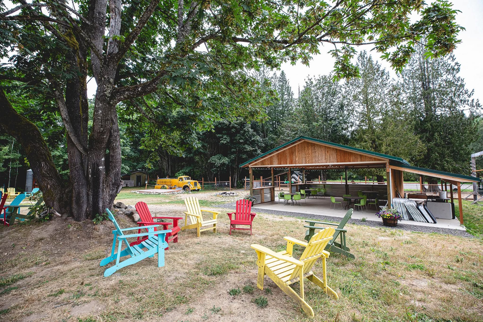 Colorful Adirondack chairs on a lawn near a rustic outdoor pavilion facility rental