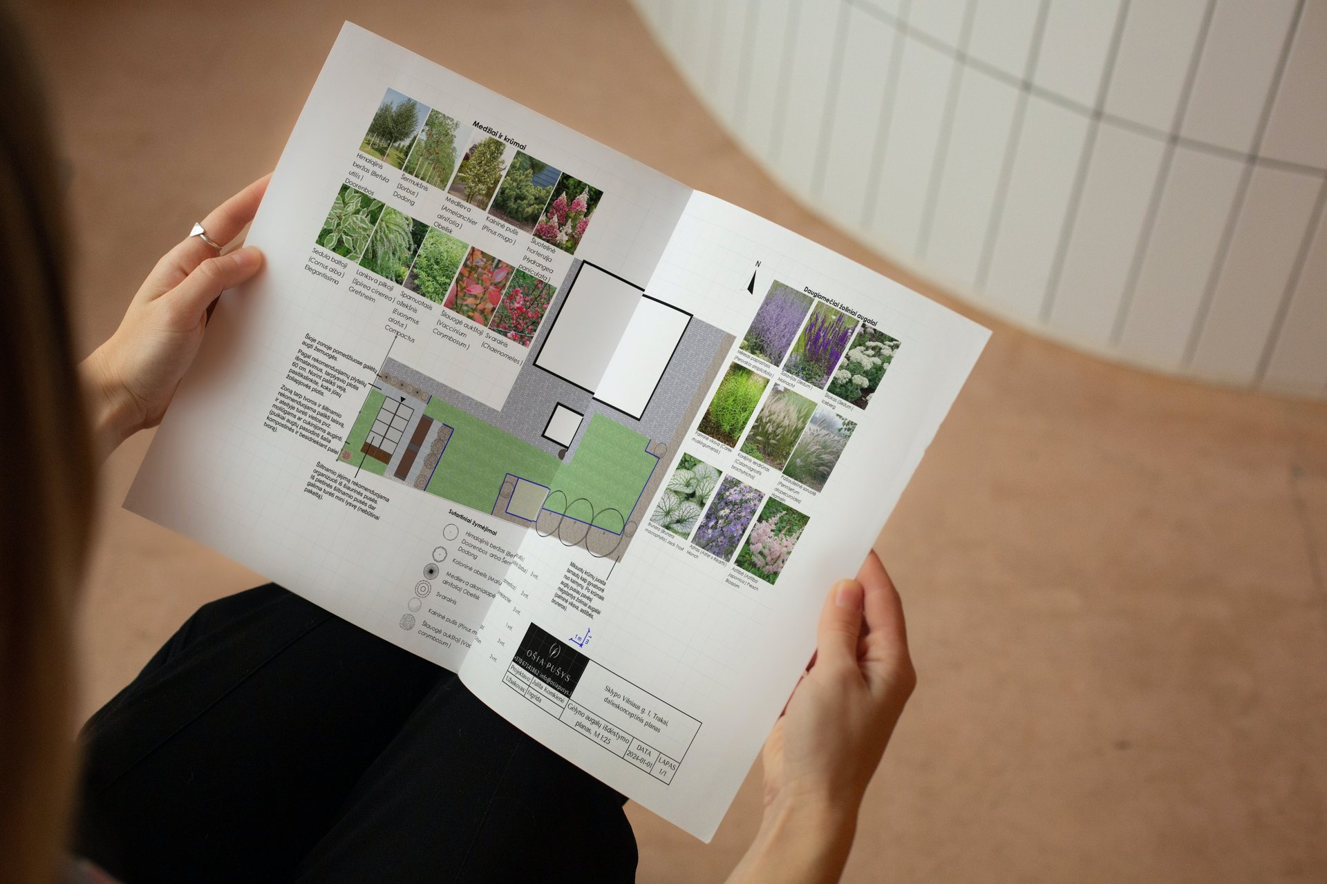 žmogus laiko apželdinimo planą