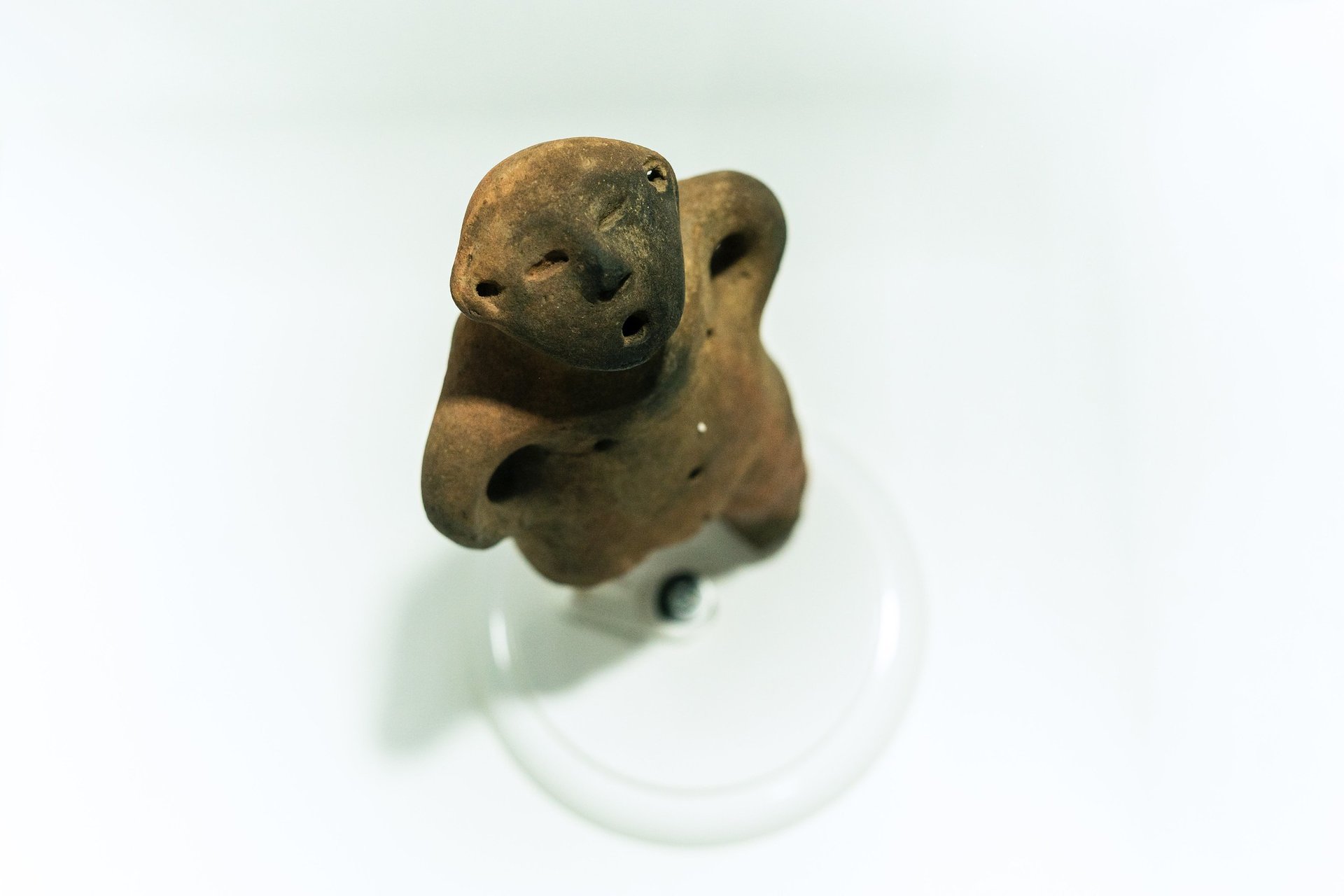 imagem de estatua rupestre museu de arqueologia de rondonia