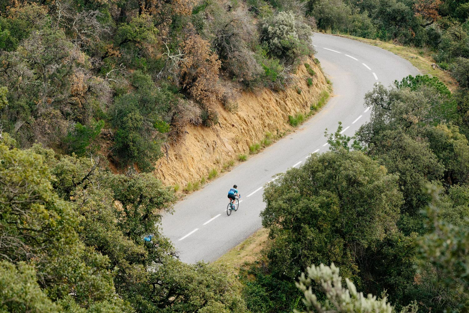 Liz Hughes, a female cyclist descending a mountain on a road bike.