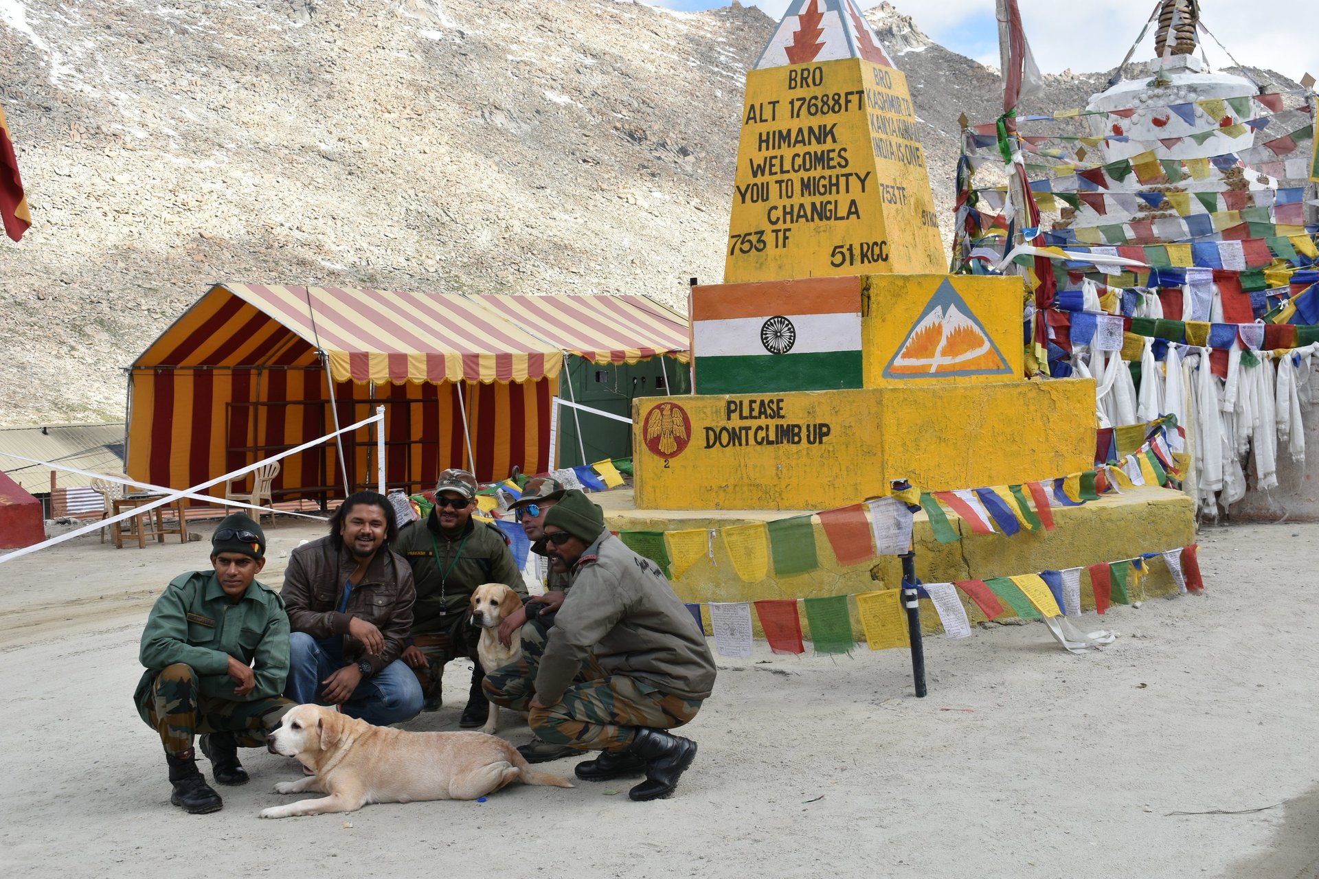 Dog Boarding, Dog Boarding near me, Pet Boarding, Pet Boarding near me, Dog Care, Happy Pettings