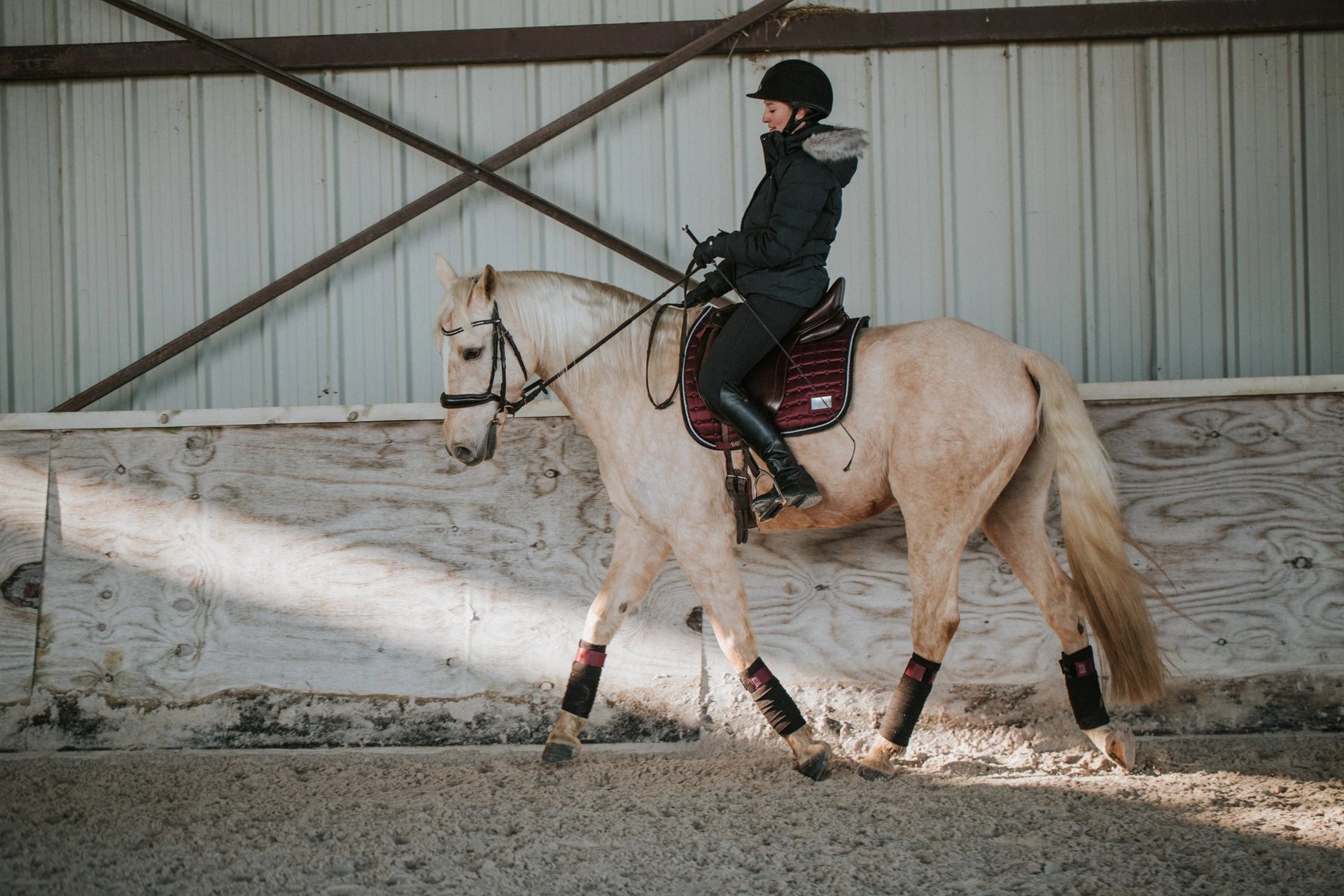 cavalier cheval peur anxiété stress