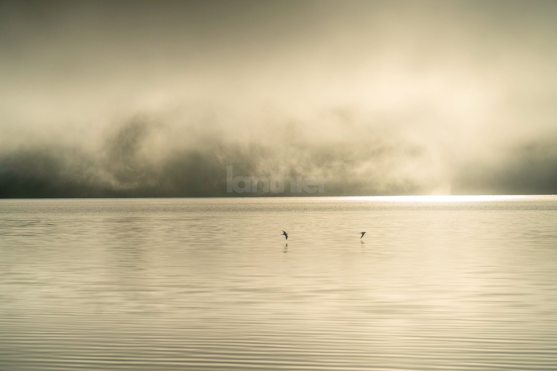 Black and white photograph of two birds flying low over water with dramatic clouds by Tim M Lanthier