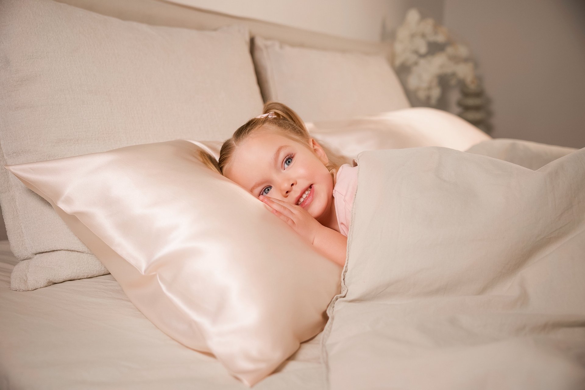 the best silver ion 100% silk pillowcase