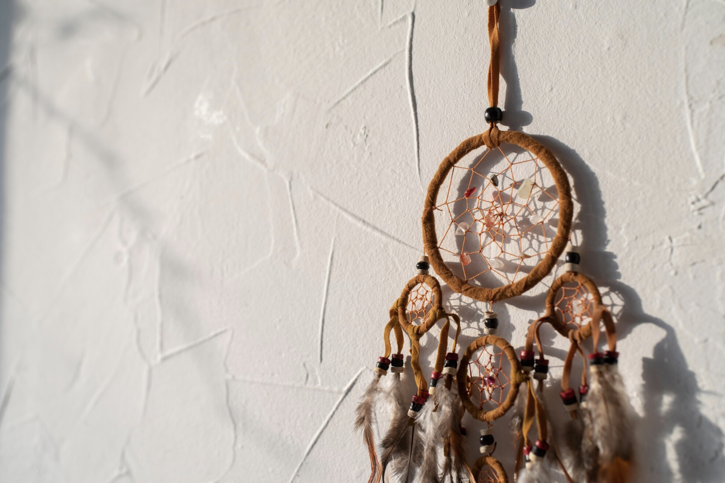 lignées Comanches et Apaches angelika lynn