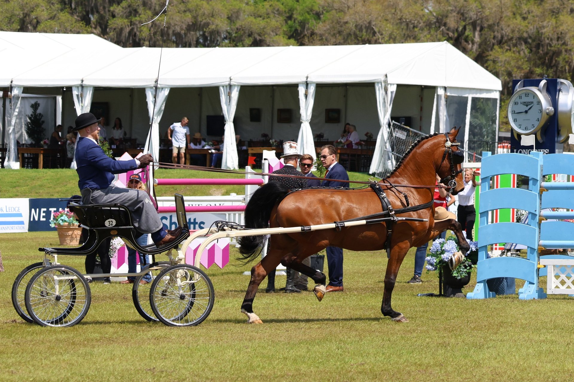 Bill and Ned strutting their stuff!