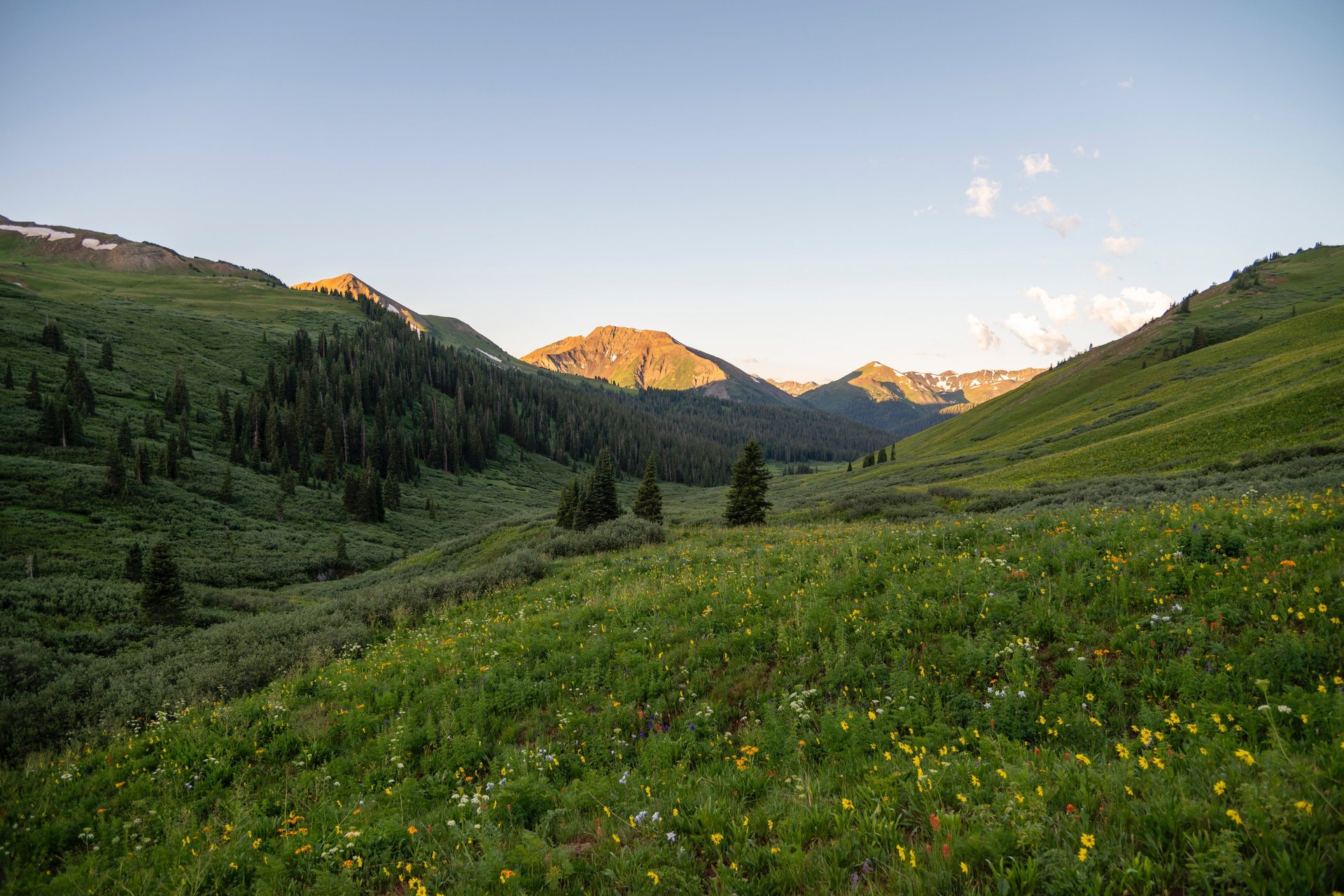Wildflowers abound below West Maroon Pass; sunrise illumines Mount Baldy and Elk Mountain peaks