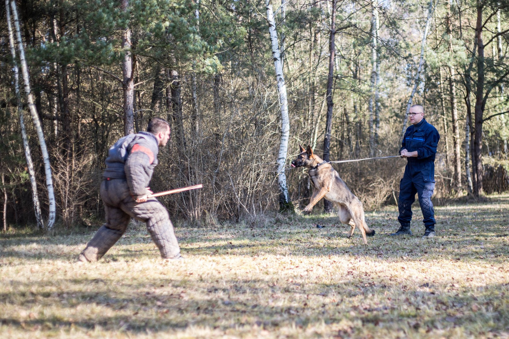 Un entrainement mordant police municipale