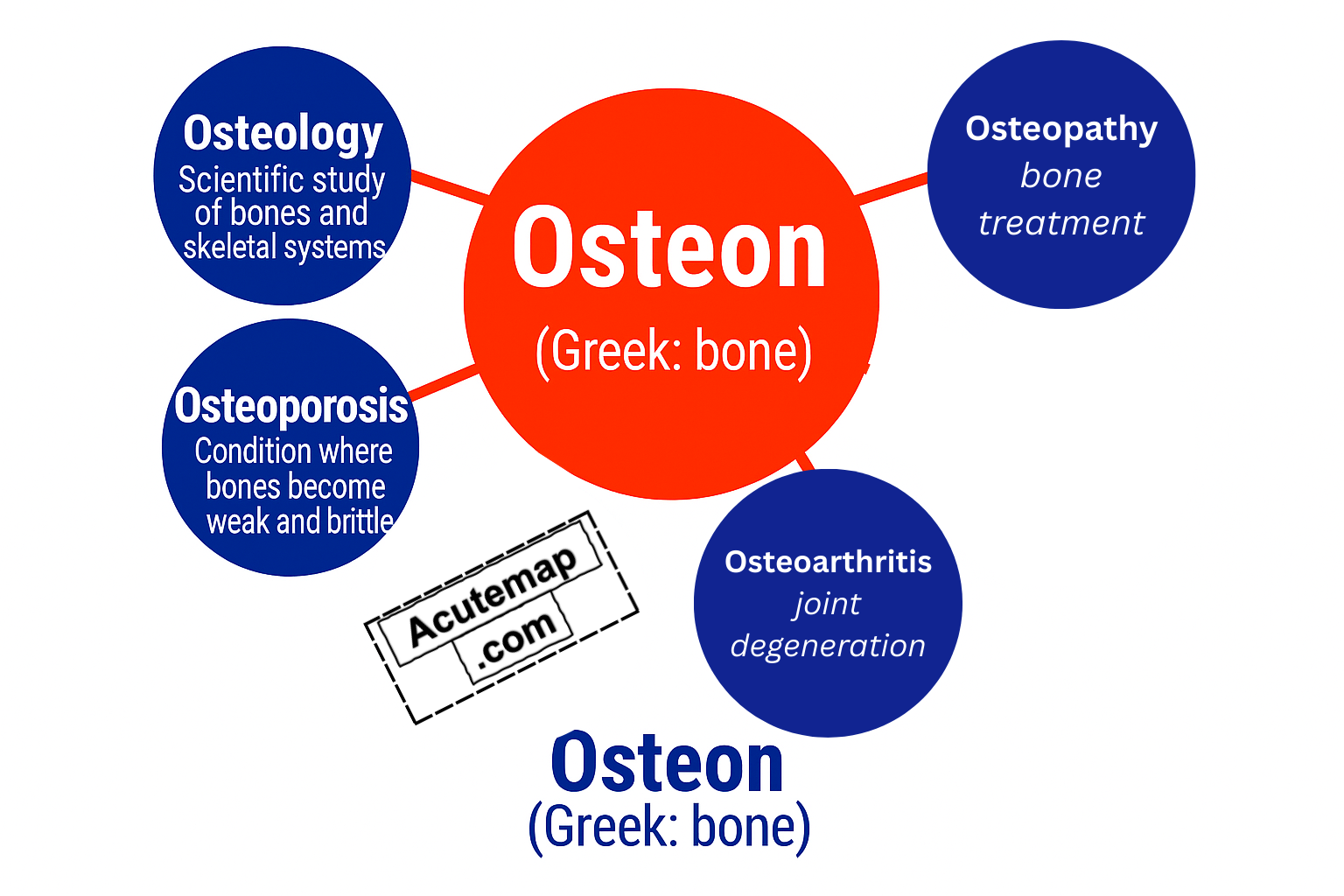 Root word Oteon chart for SSC and competitive exams