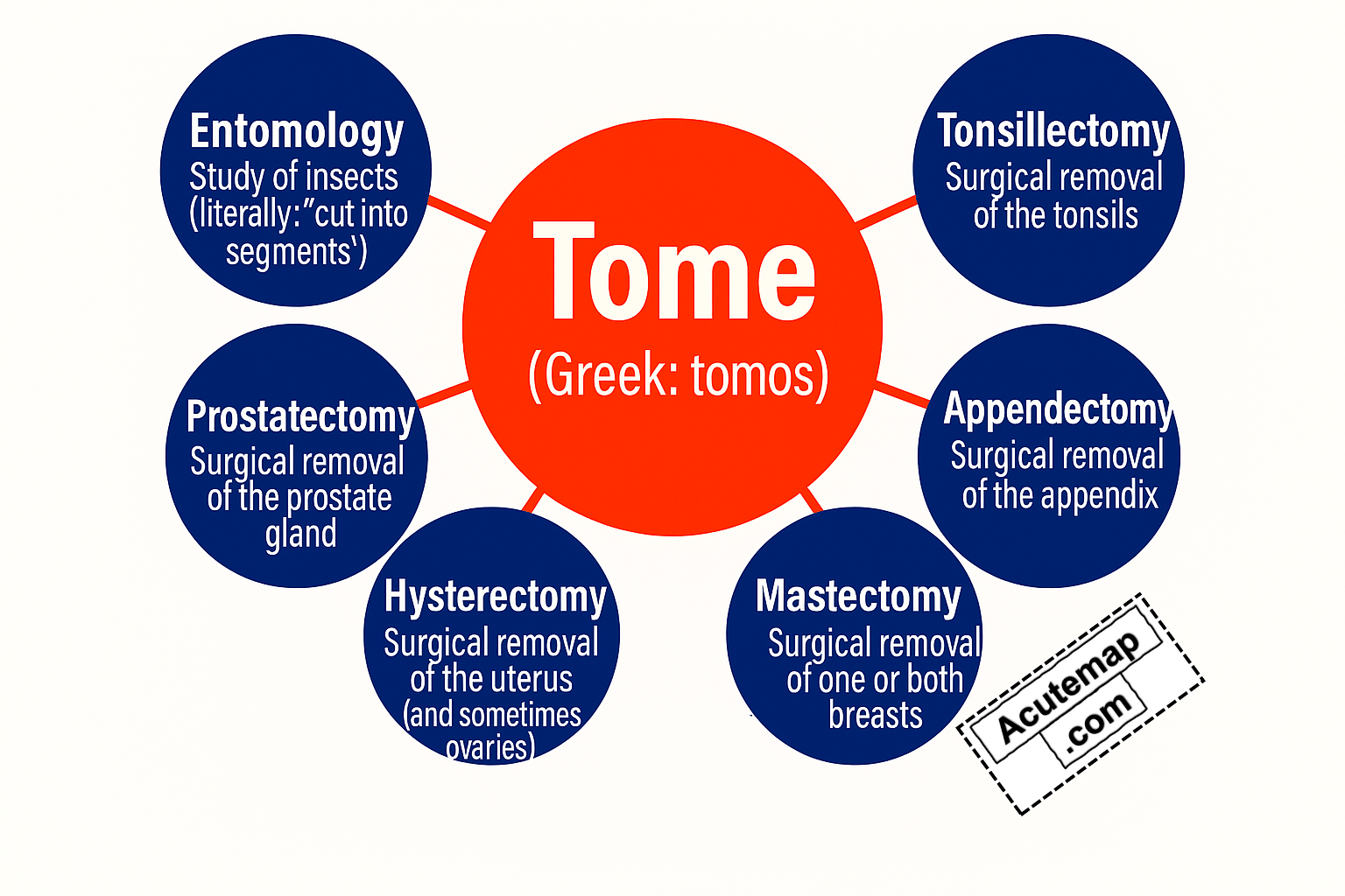 Root Word Tome, Word Power Made Easy