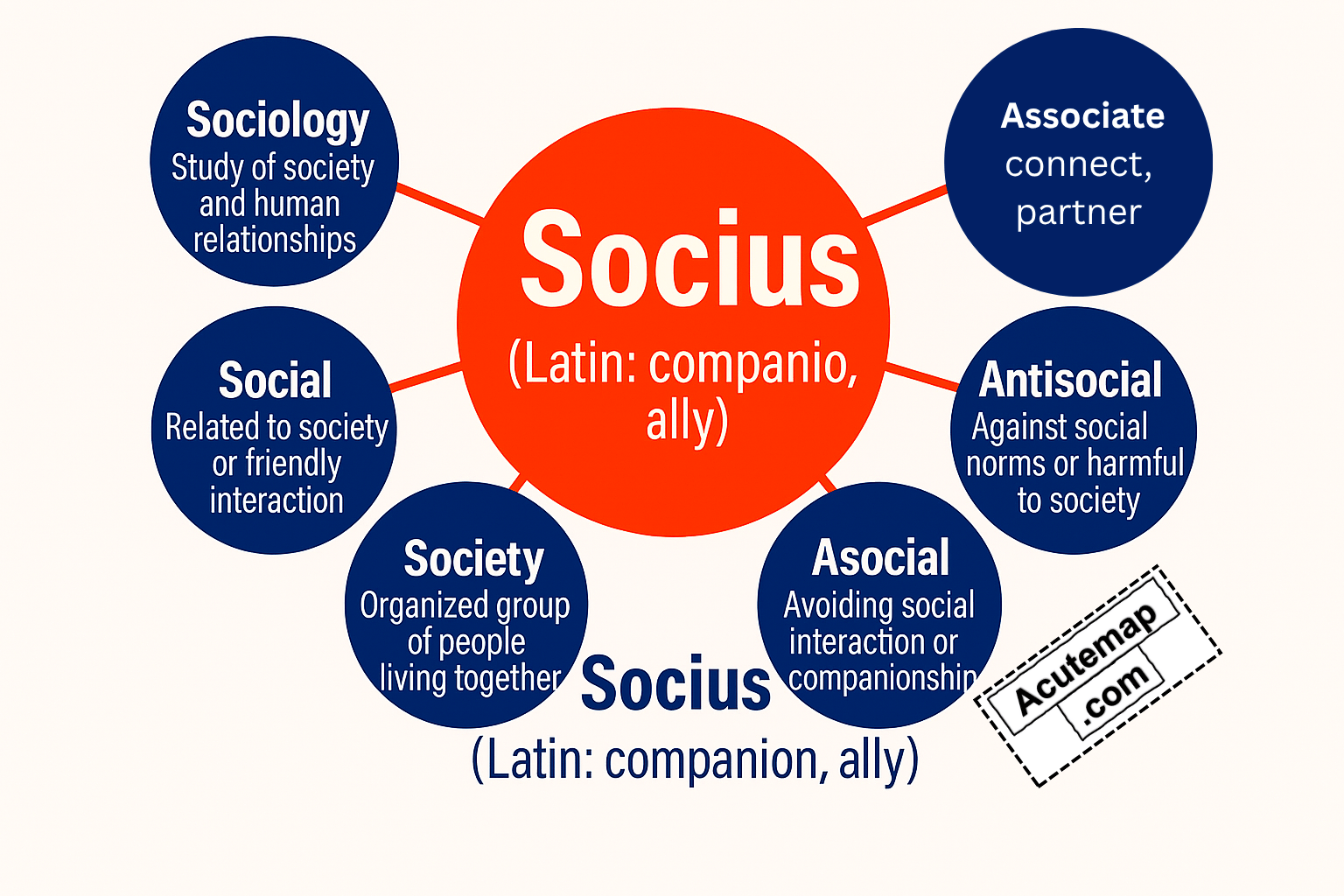 Root Word socius, Word Power Made Easy 