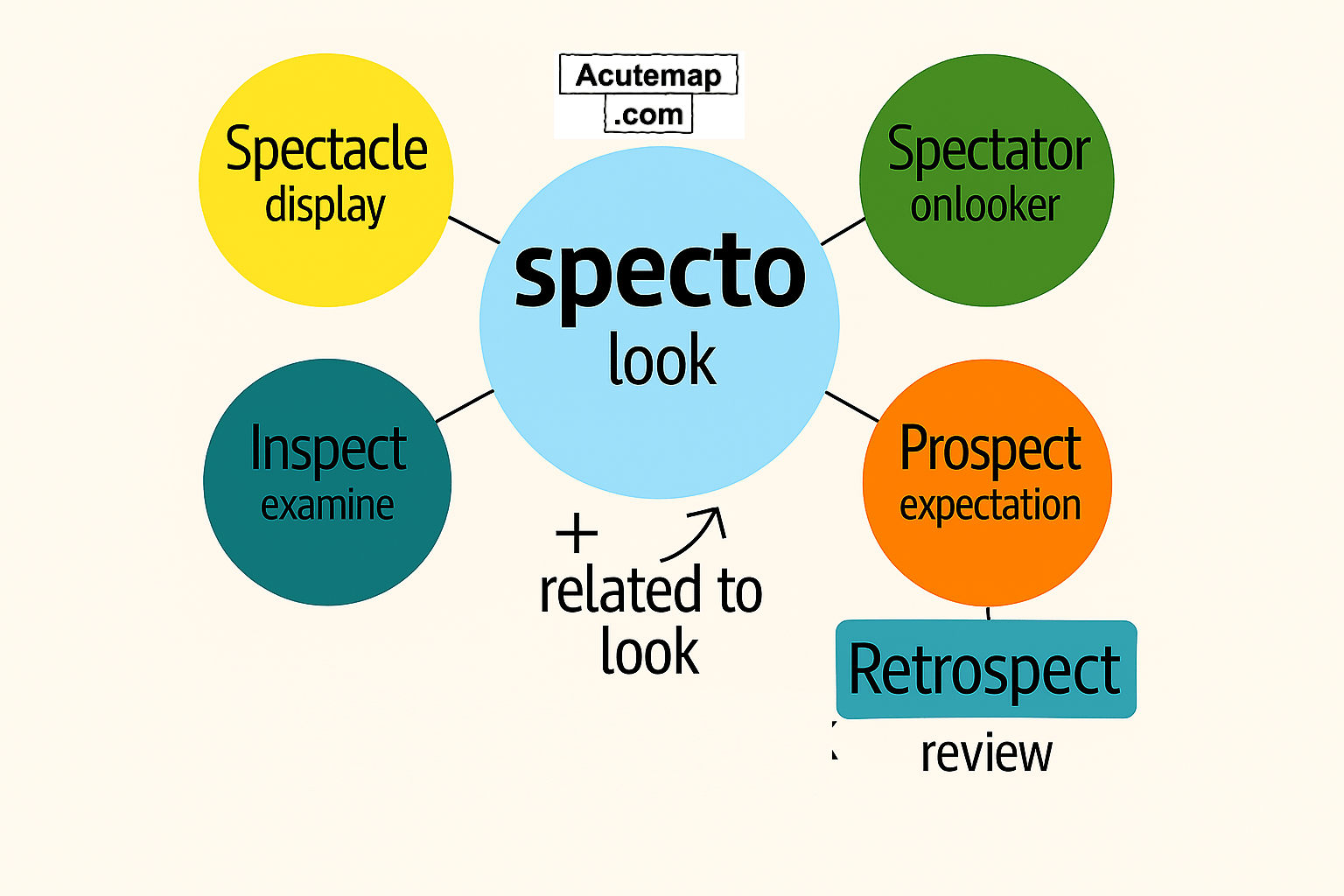Word Power Made Easy Specto root word