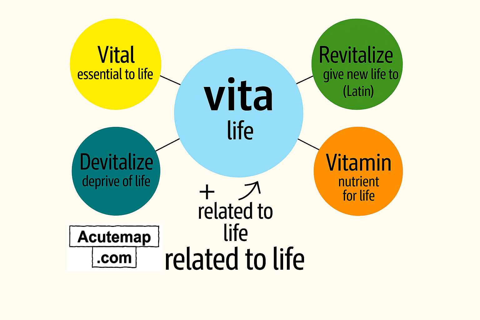 Word Power Made Easy root word Chart Vita