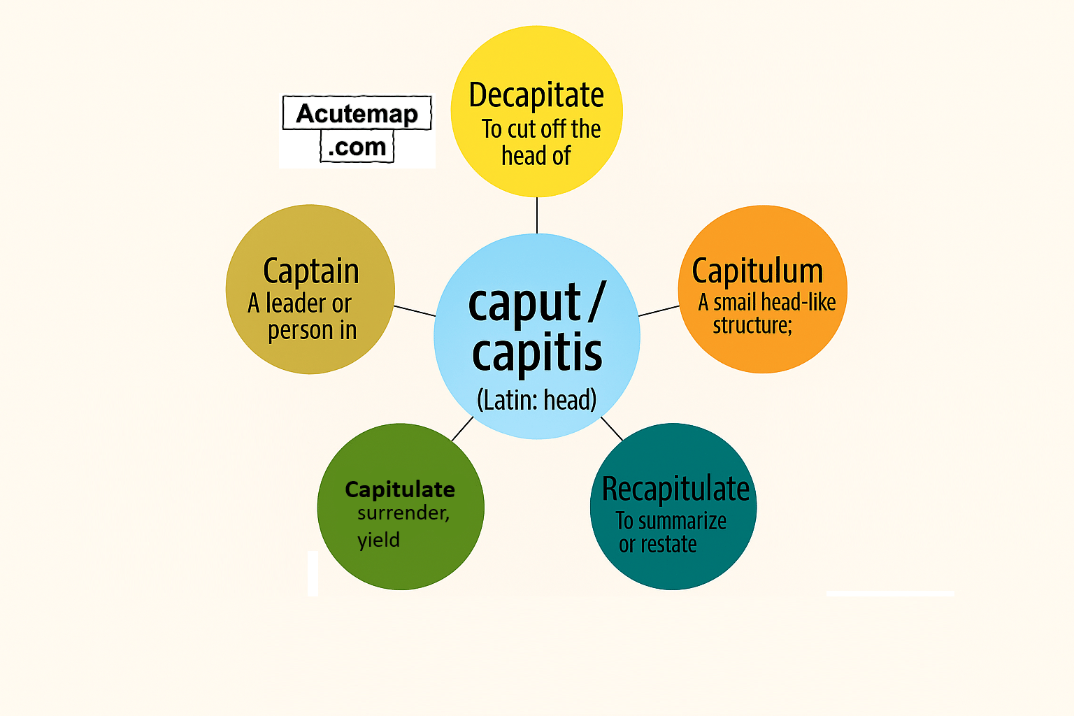 Caput root word chart meanings in Hindi-English for SSC UPSC vocabulary from Word Power Made Easy.