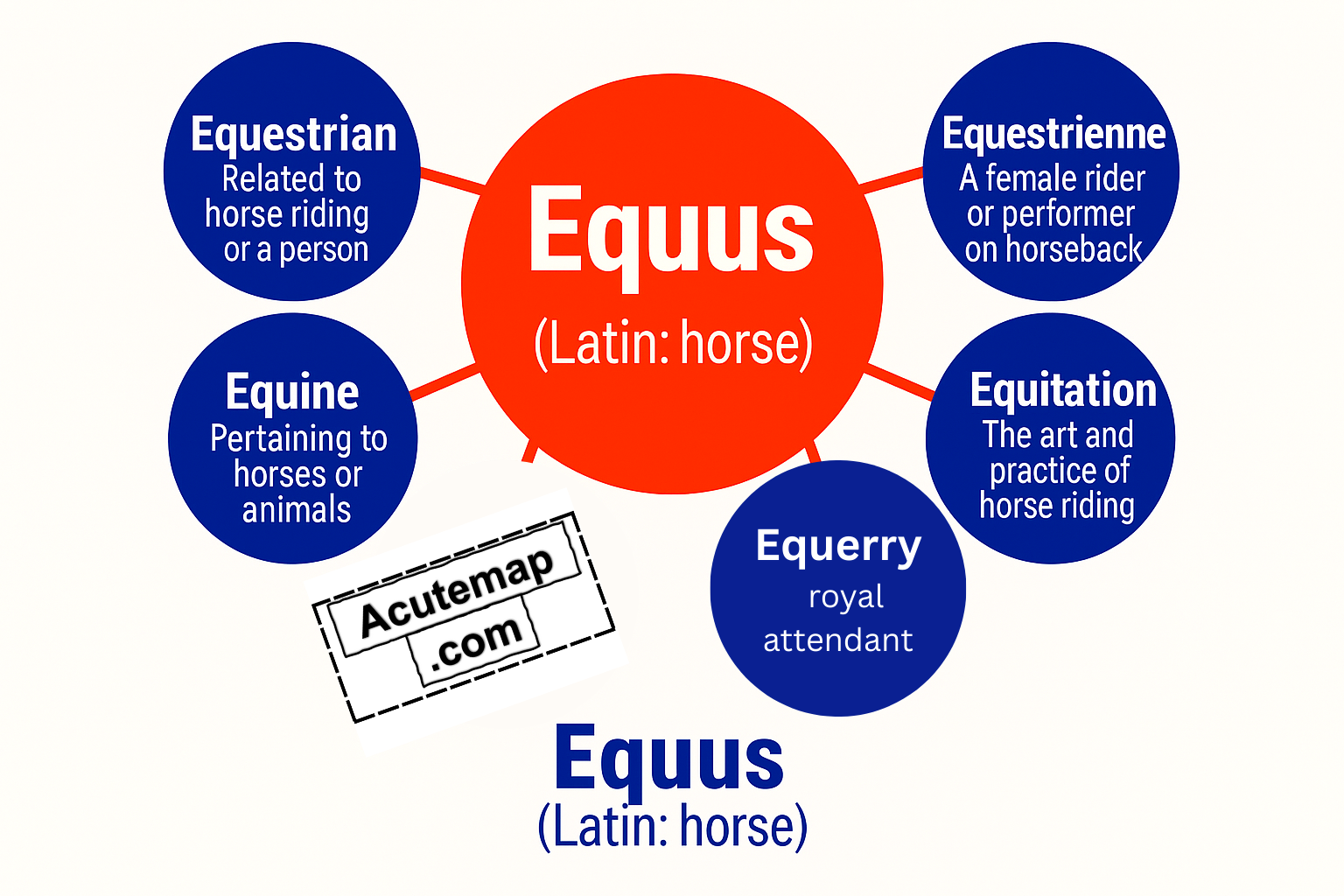 Equus root word for competitive exams