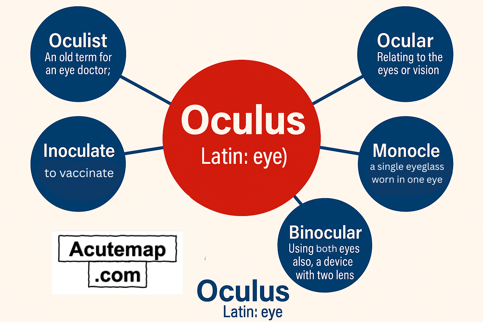 Oculus root word chart from Word Power Made Easy Book