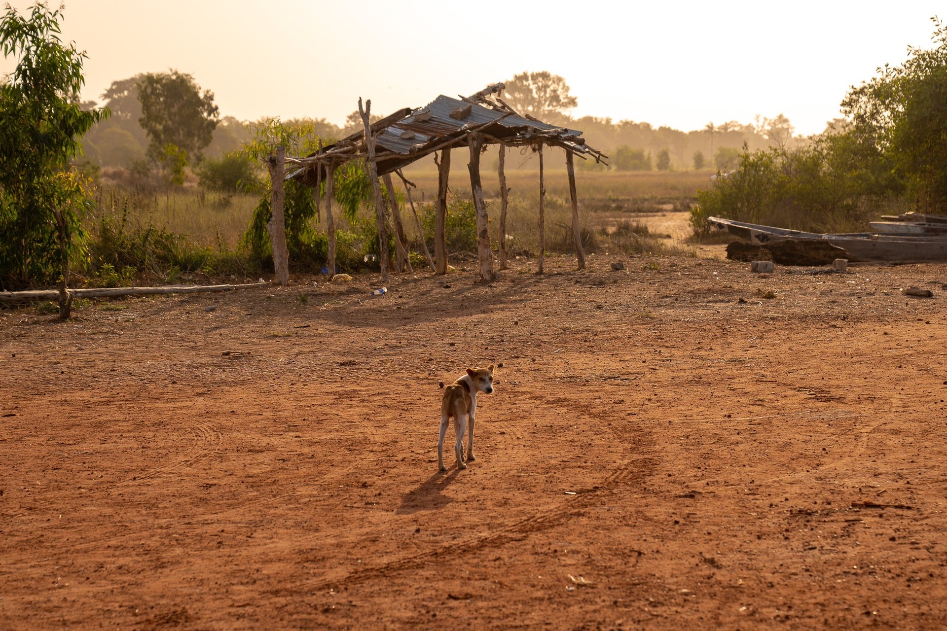 paysage sénégalais cassamance