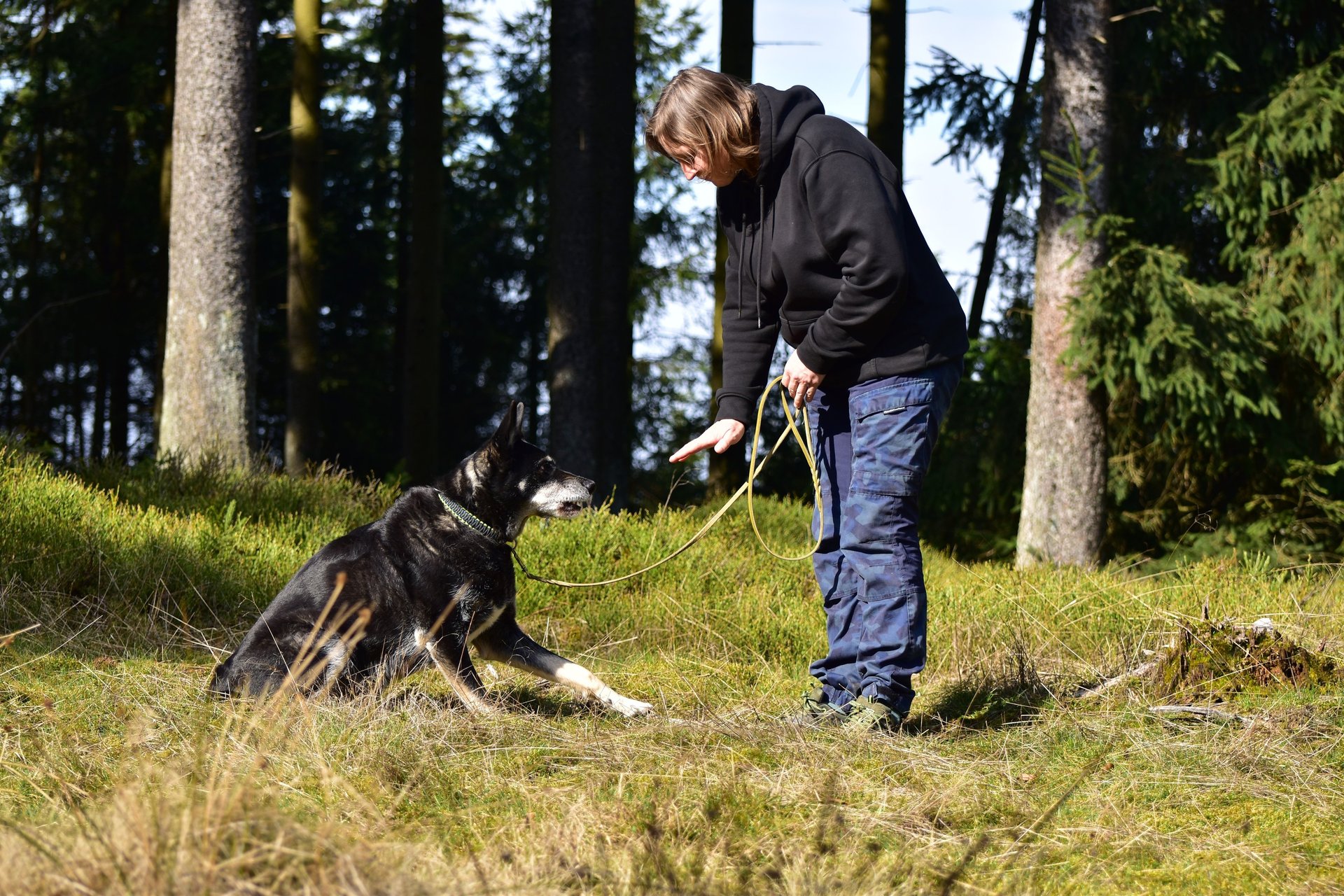 Eine Frau in einem schwarzen Hoodie trainiert einen schwarzen Hund mit Handzeichen auf einer sonnige